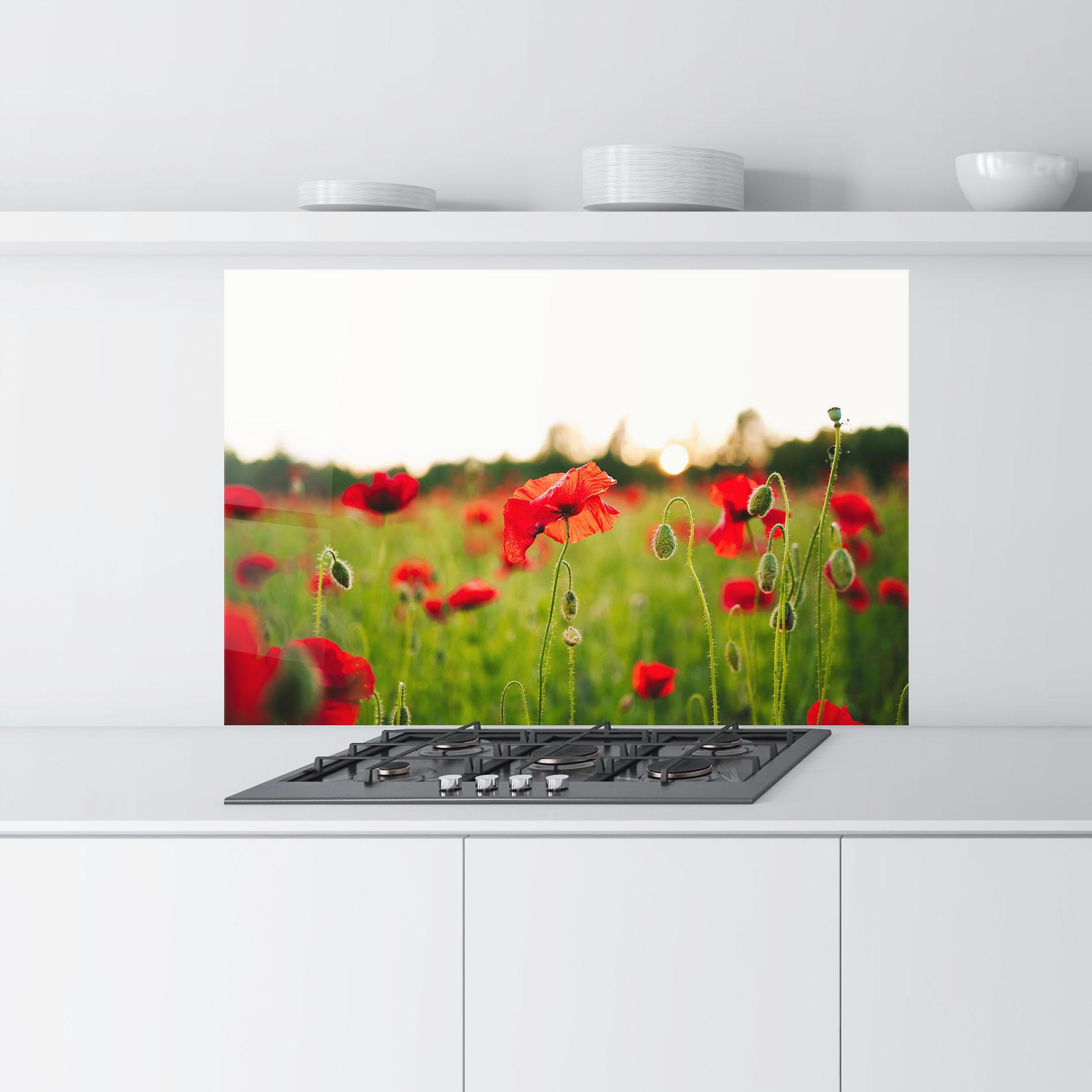 Küchenrückwand Glas Poppies Field mockup 9