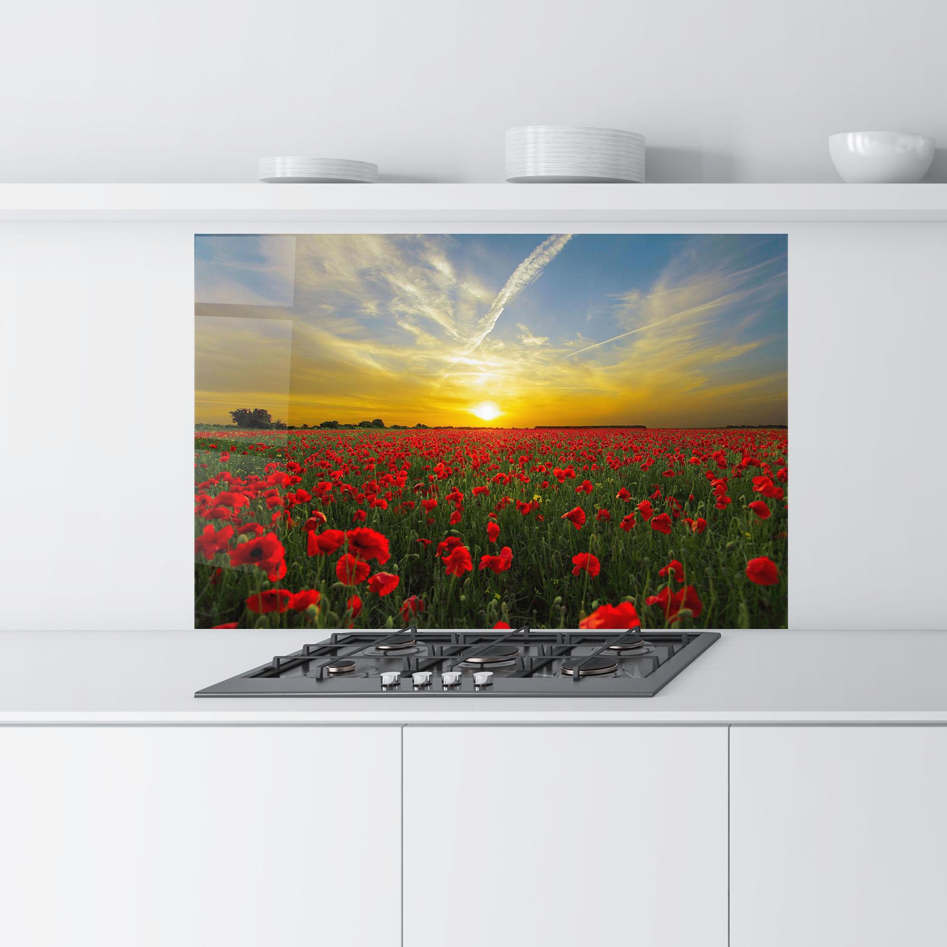 Küchenrückwand Glas Poppies Sunset mockup 9