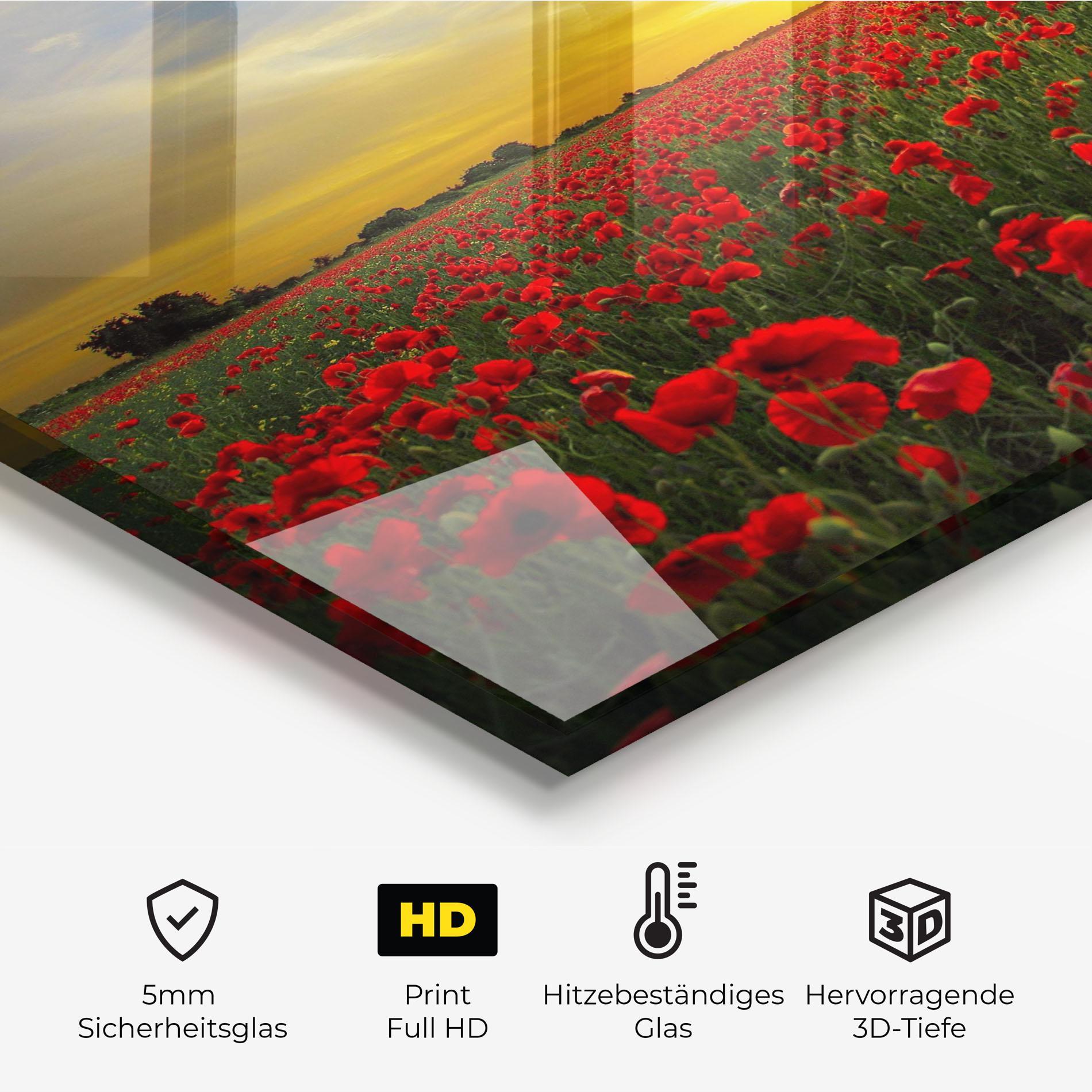 Küchenrückwand Glas Poppies Sunset mockup 2