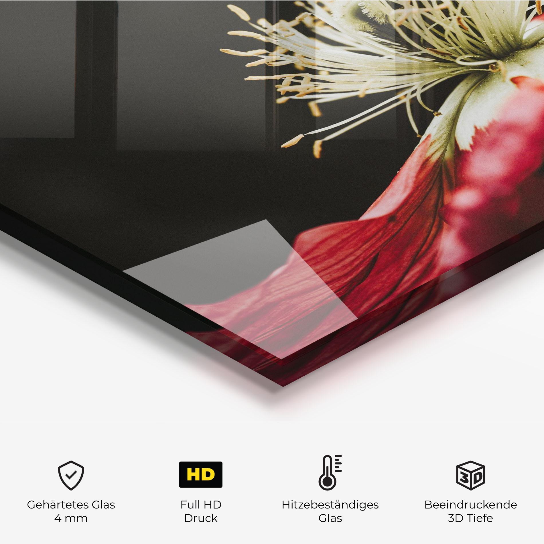 Küchenrückwand Glas Open Poppy Close Up mockup 2