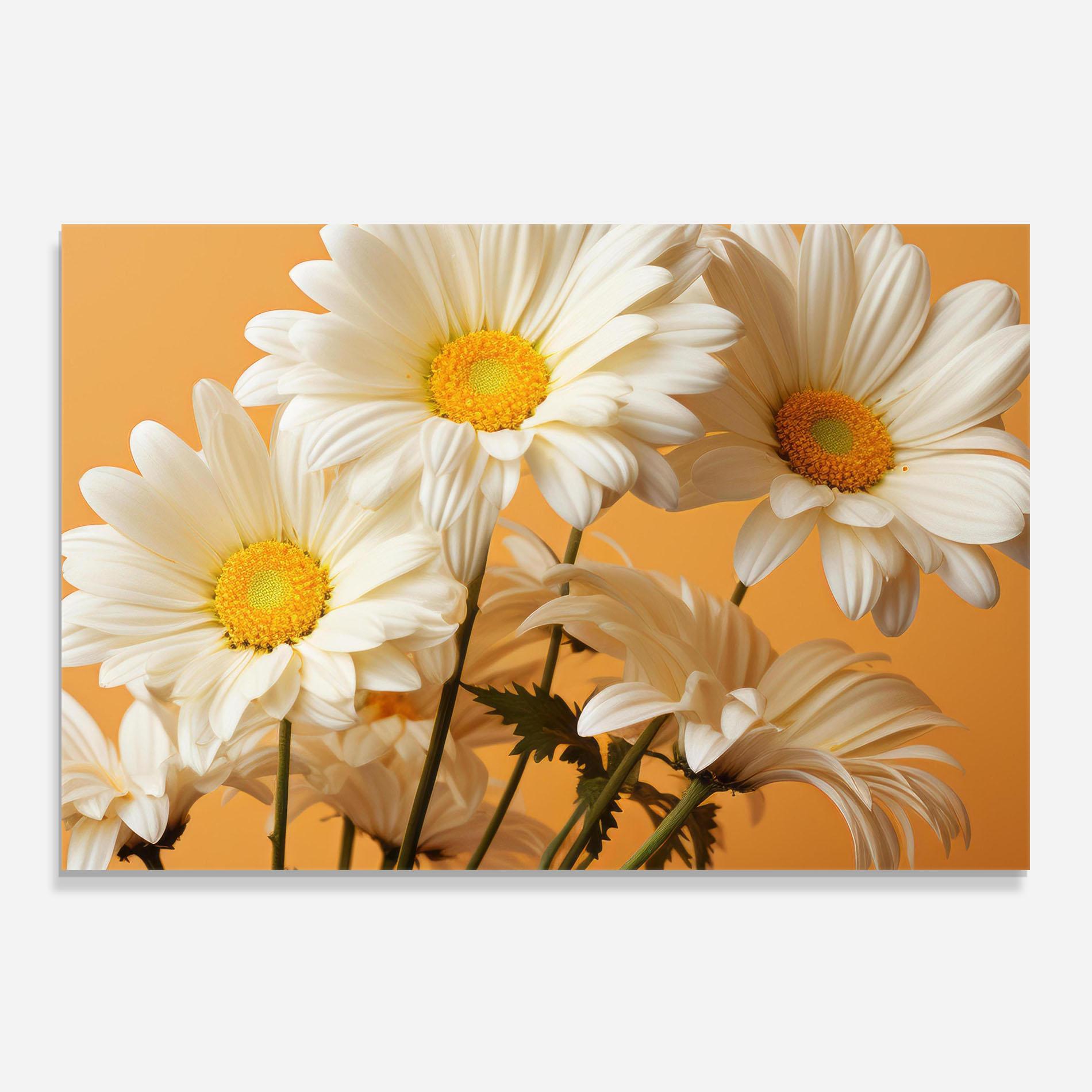 Küchenrückwand Glas Daisy On Orange mockup 0