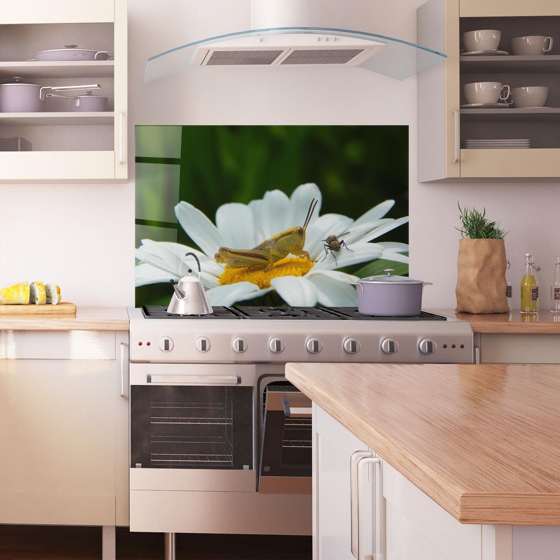 Küchenrückwand Glas Cricket On Daisy mockup 1