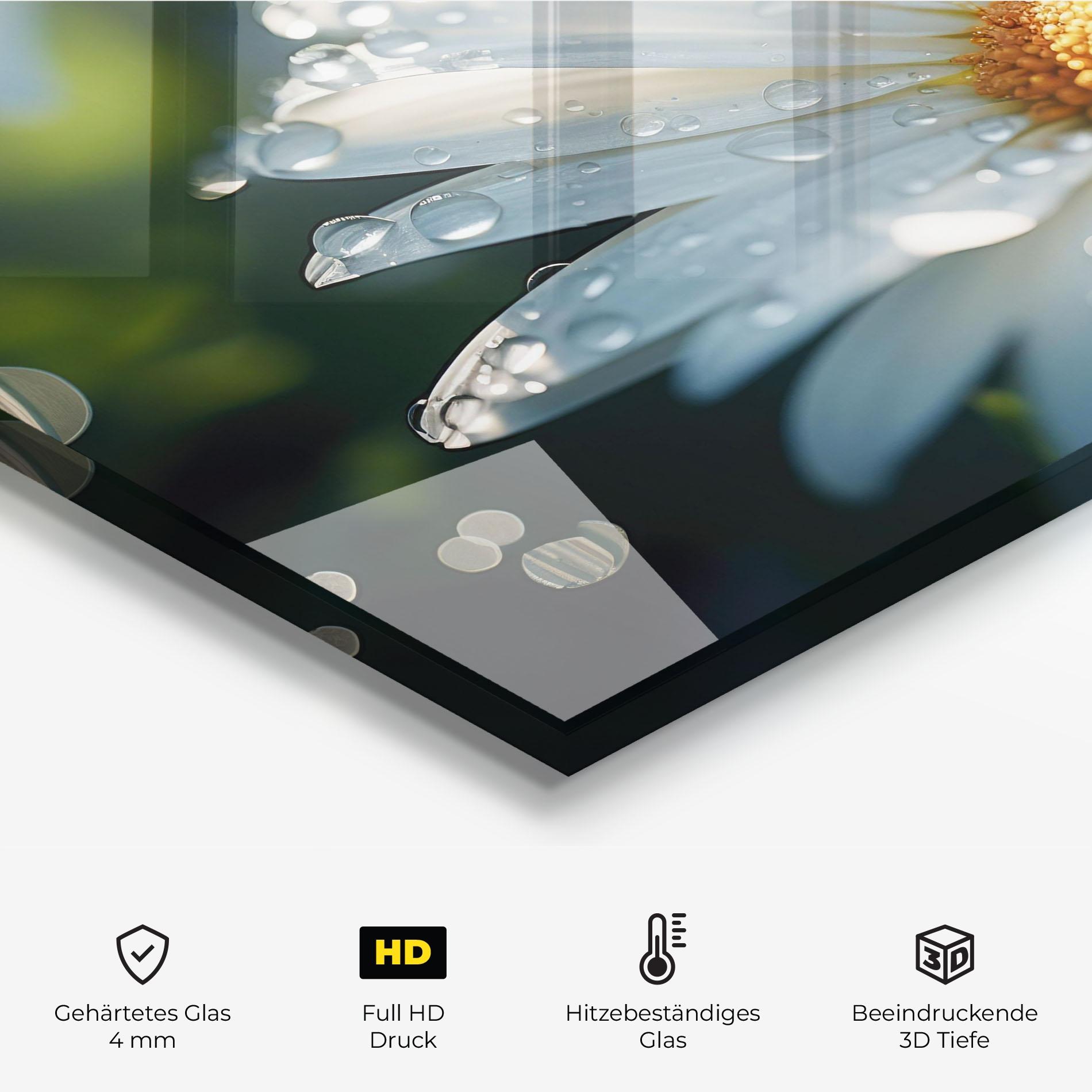 Küchenrückwand Glas Daisy After Rain Close Up mockup 2