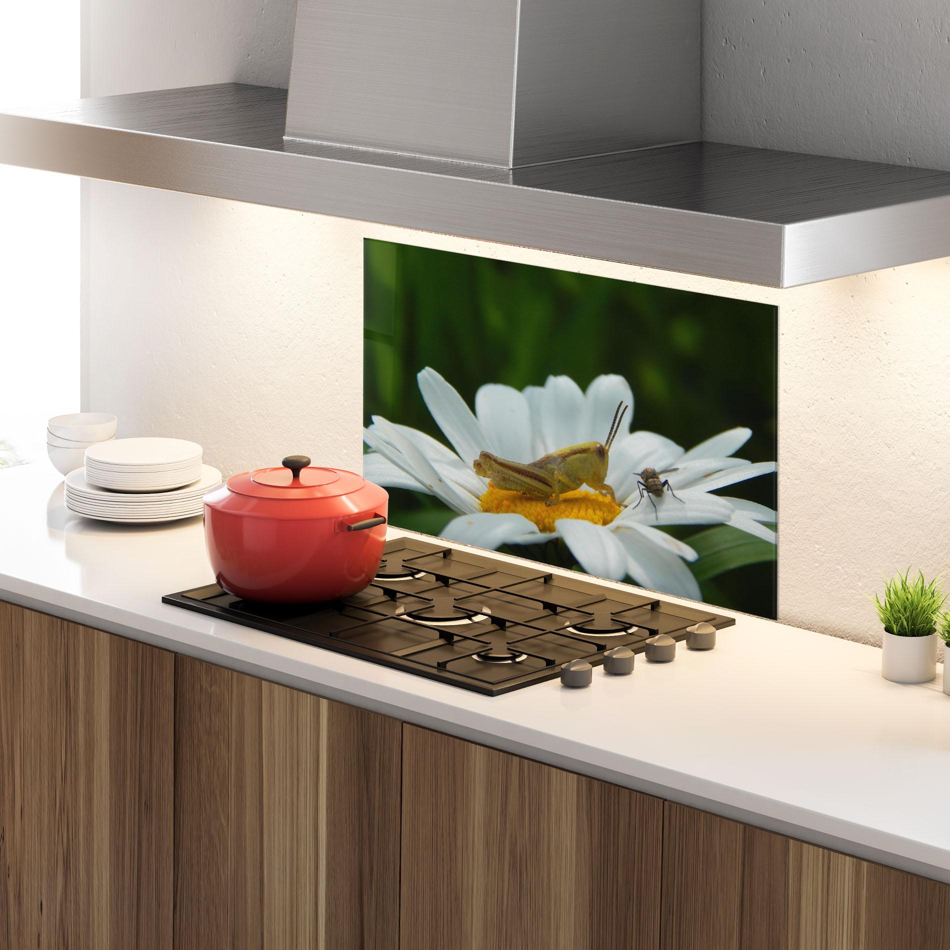 Küchenrückwand Glas Cricket On Daisy mockup 4