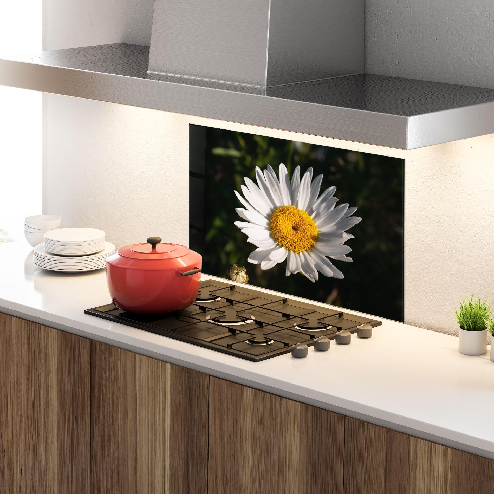 Küchenrückwand Glas Daisy Enjoying The Sun mockup 4