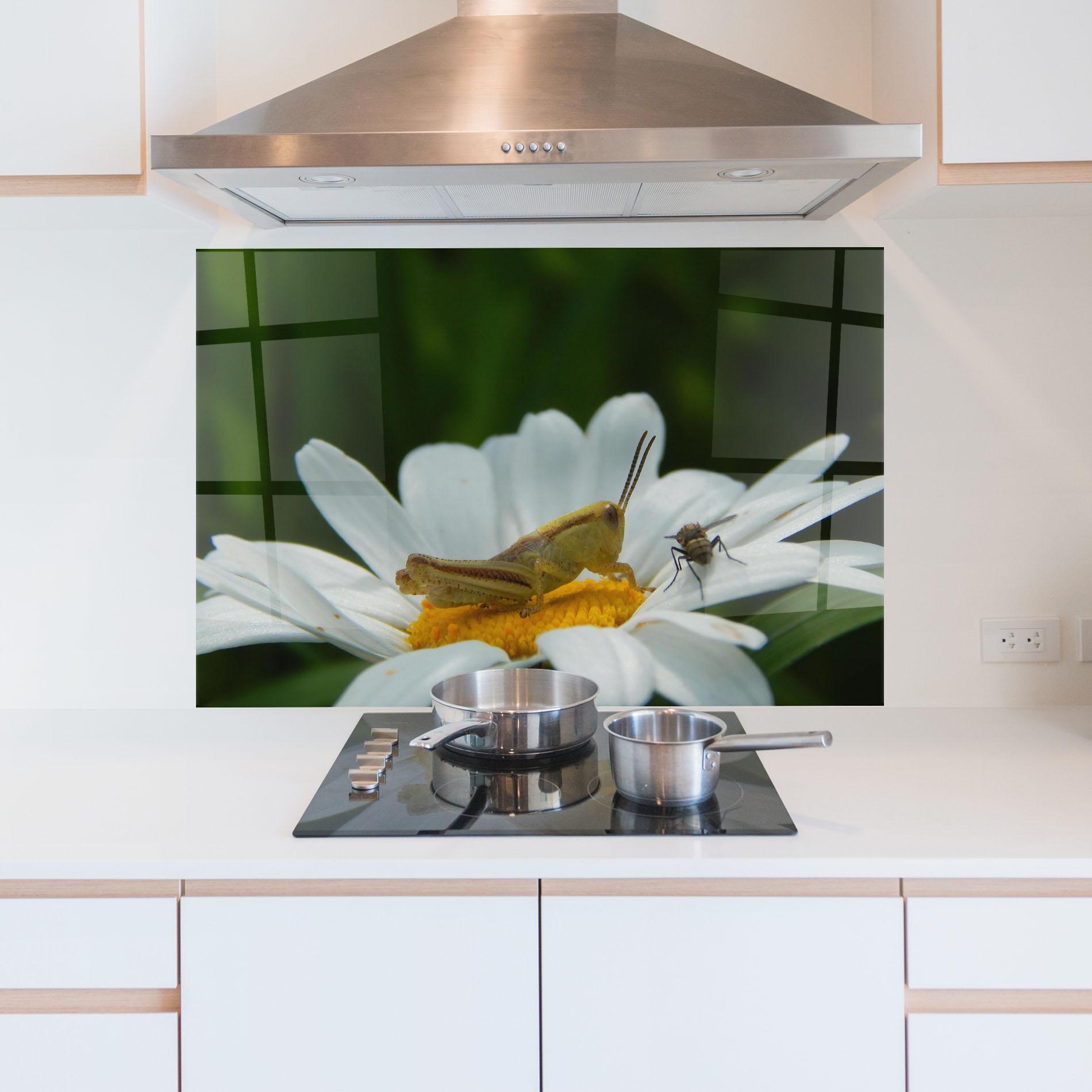 Küchenrückwand Glas Cricket On Daisy mockup 5