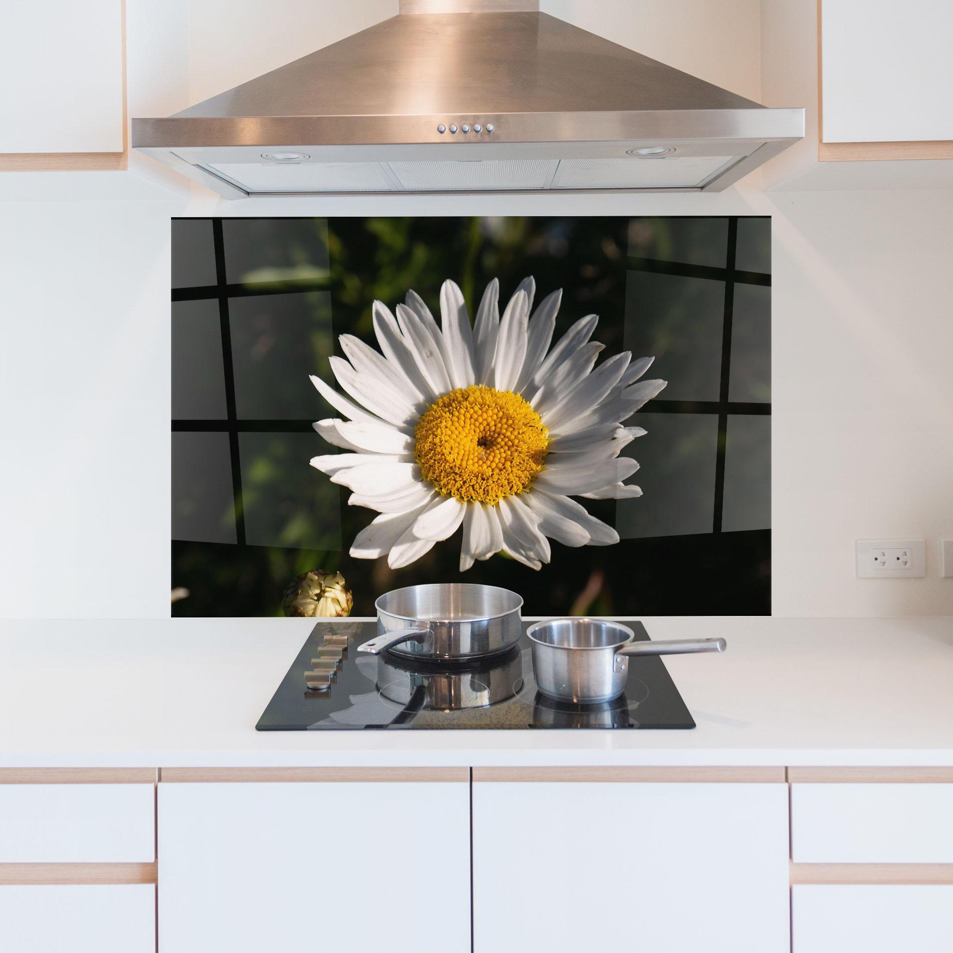 Küchenrückwand Glas Daisy Enjoying The Sun mockup 5