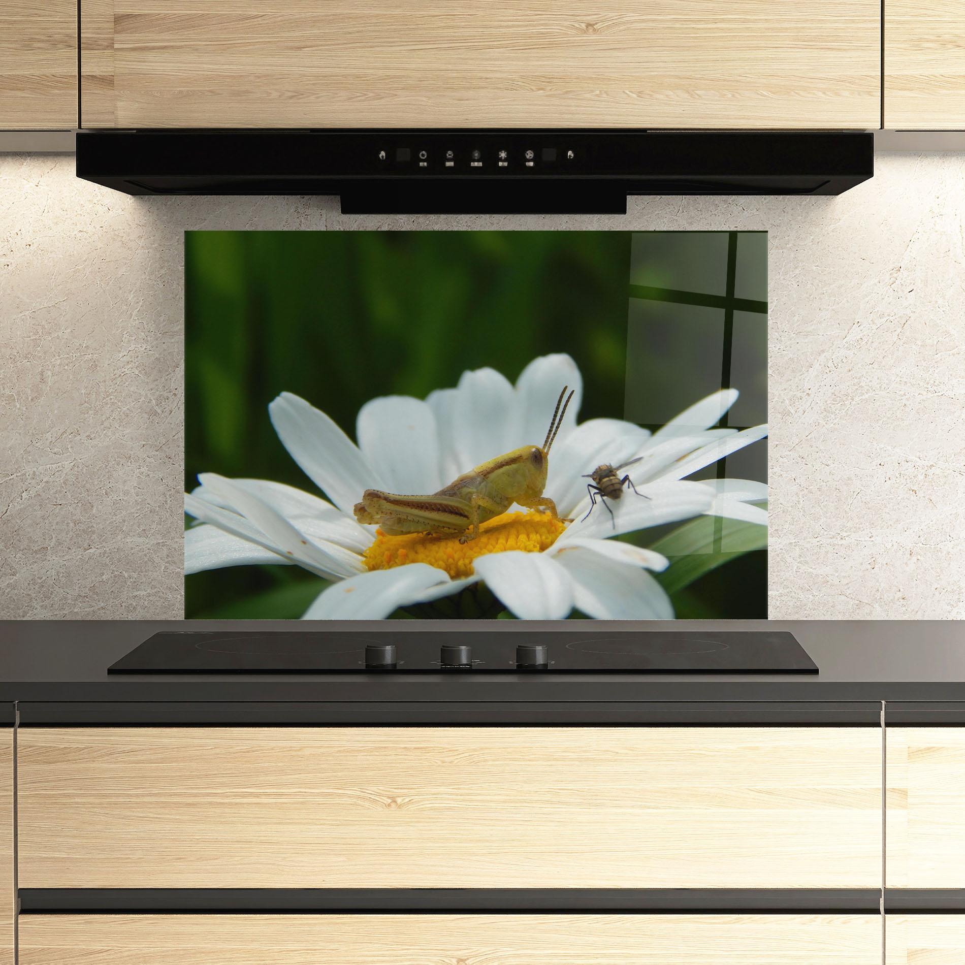 Küchenrückwand Glas Cricket On Daisy mockup 3