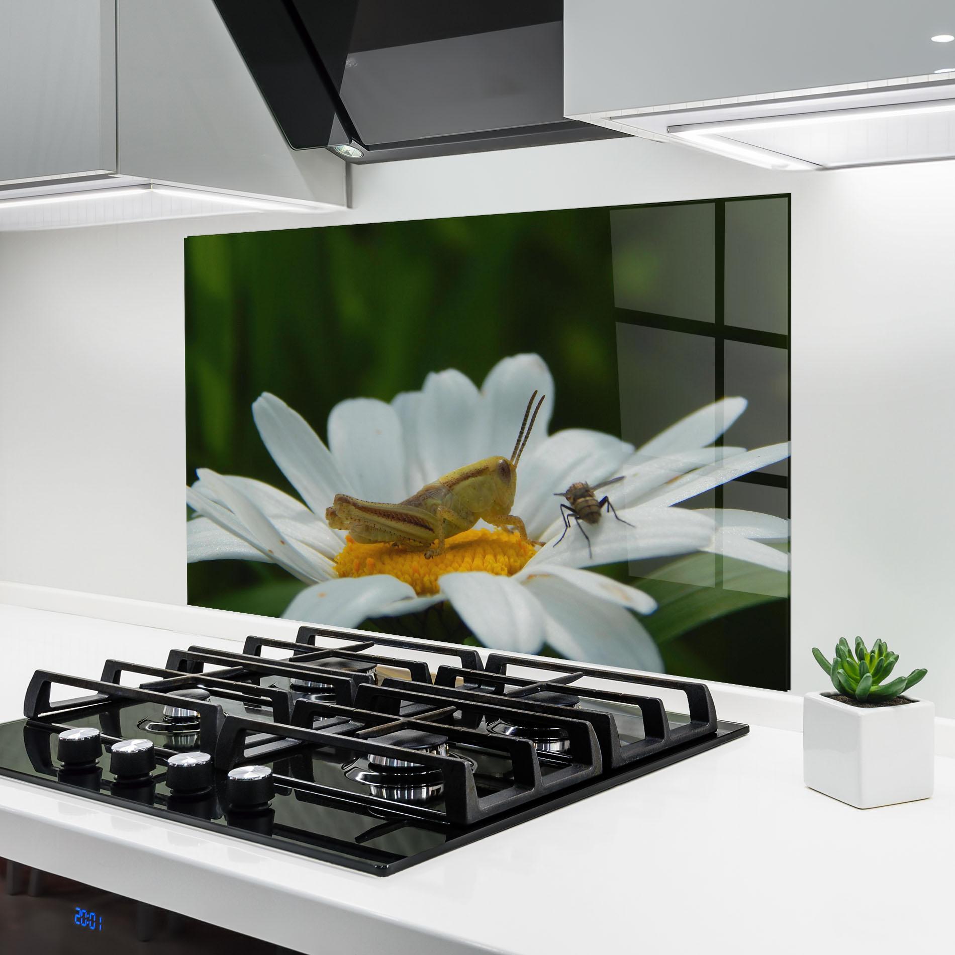 Küchenrückwand Glas Cricket On Daisy mockup 6