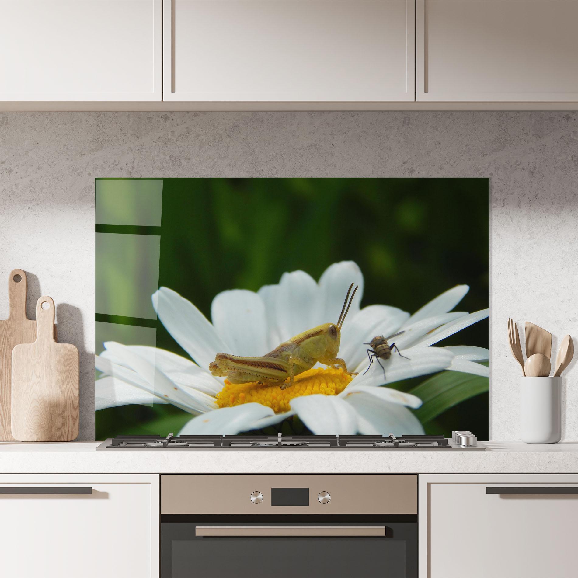Küchenrückwand Glas Cricket On Daisy mockup 7