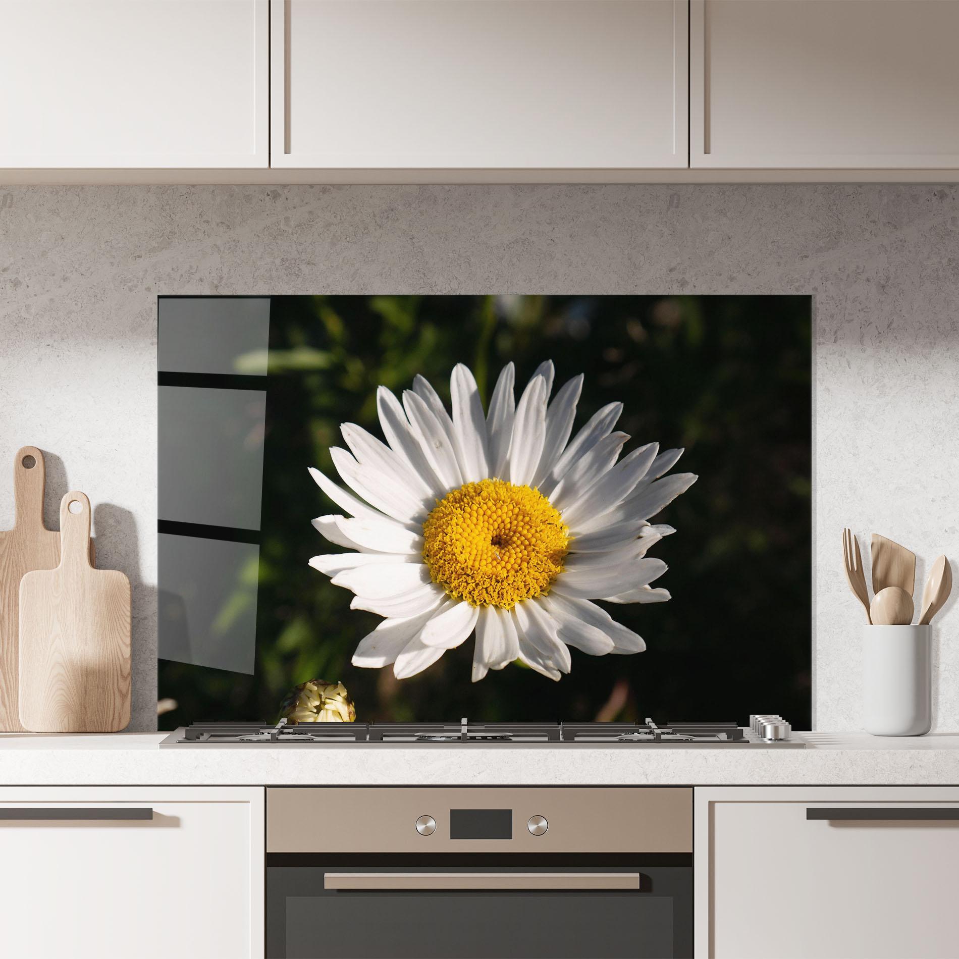 Küchenrückwand Glas Daisy Enjoying The Sun mockup 7