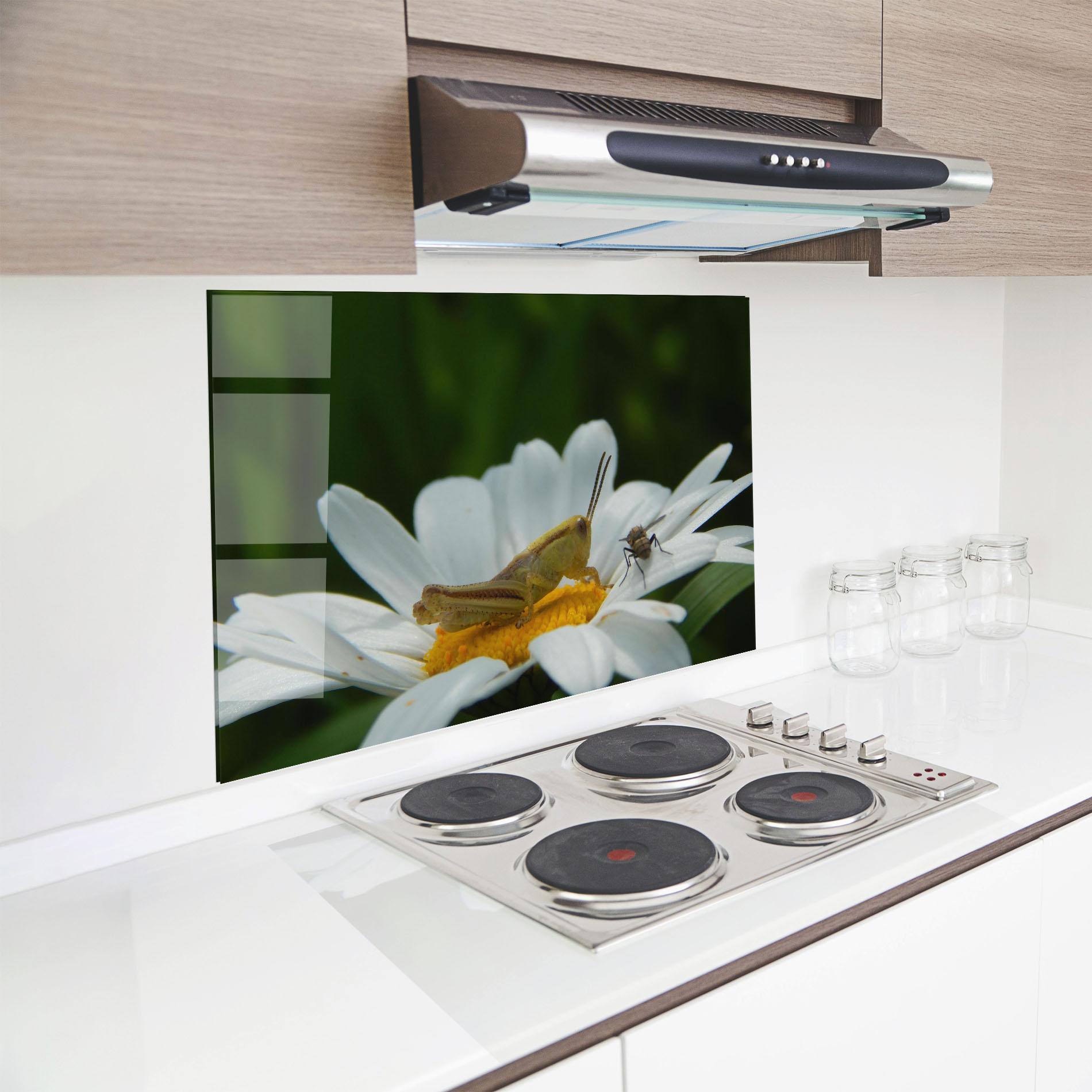 Küchenrückwand Glas Cricket On Daisy mockup 8
