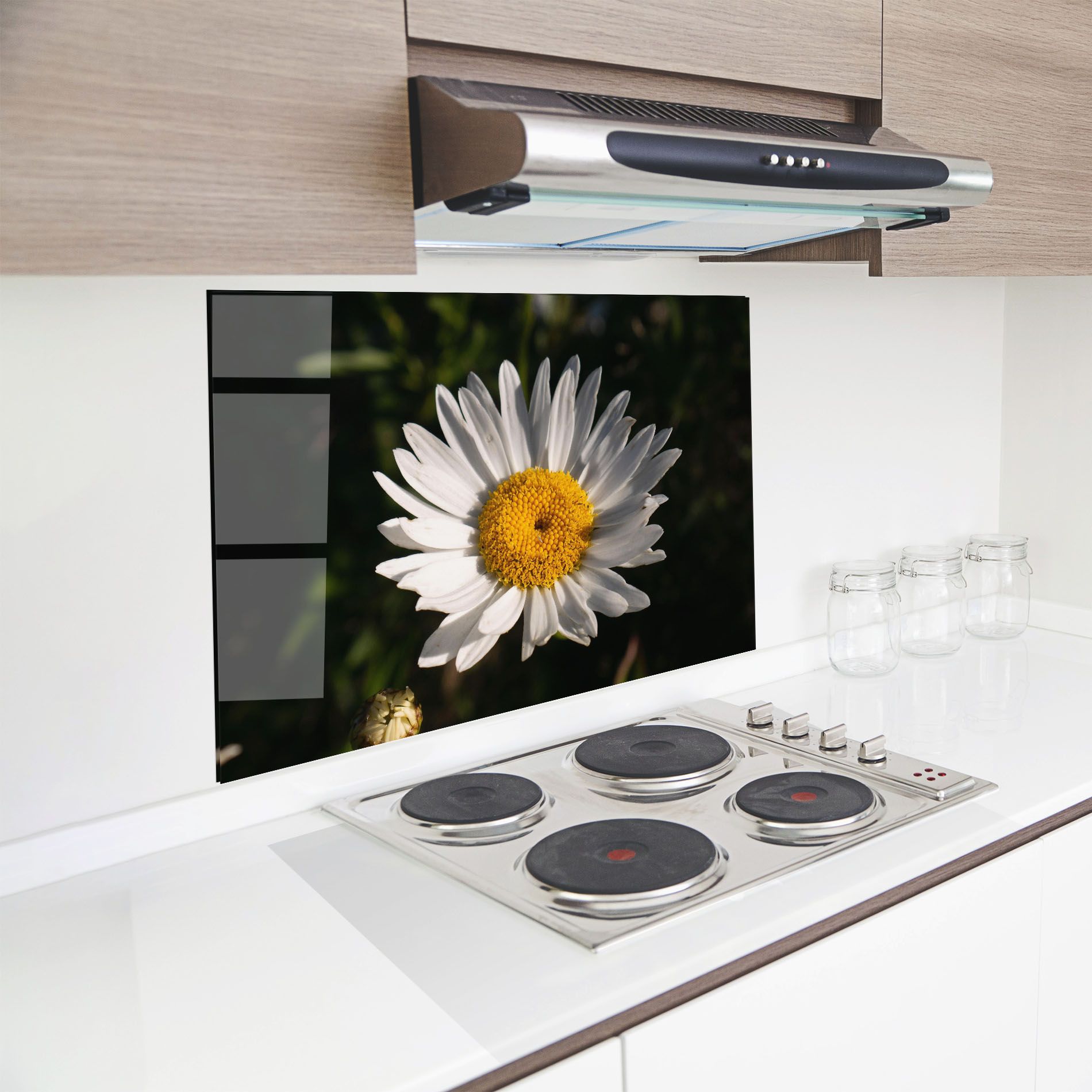 Daisy Enjoying The Sun mockup 8