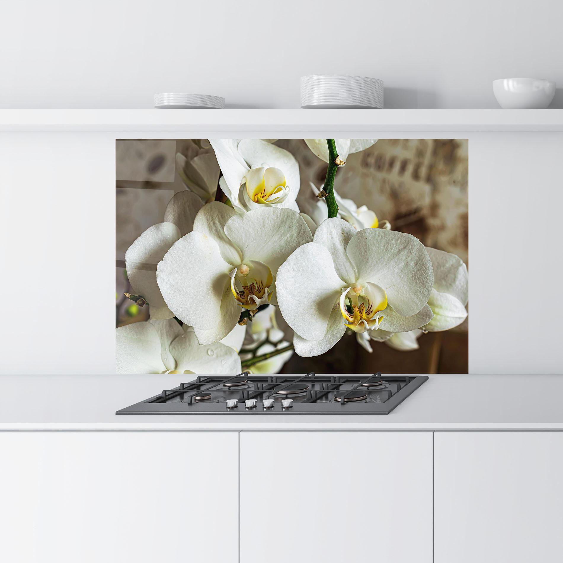 Küchenrückwand Glas Beautiful White Orchids mockup 9
