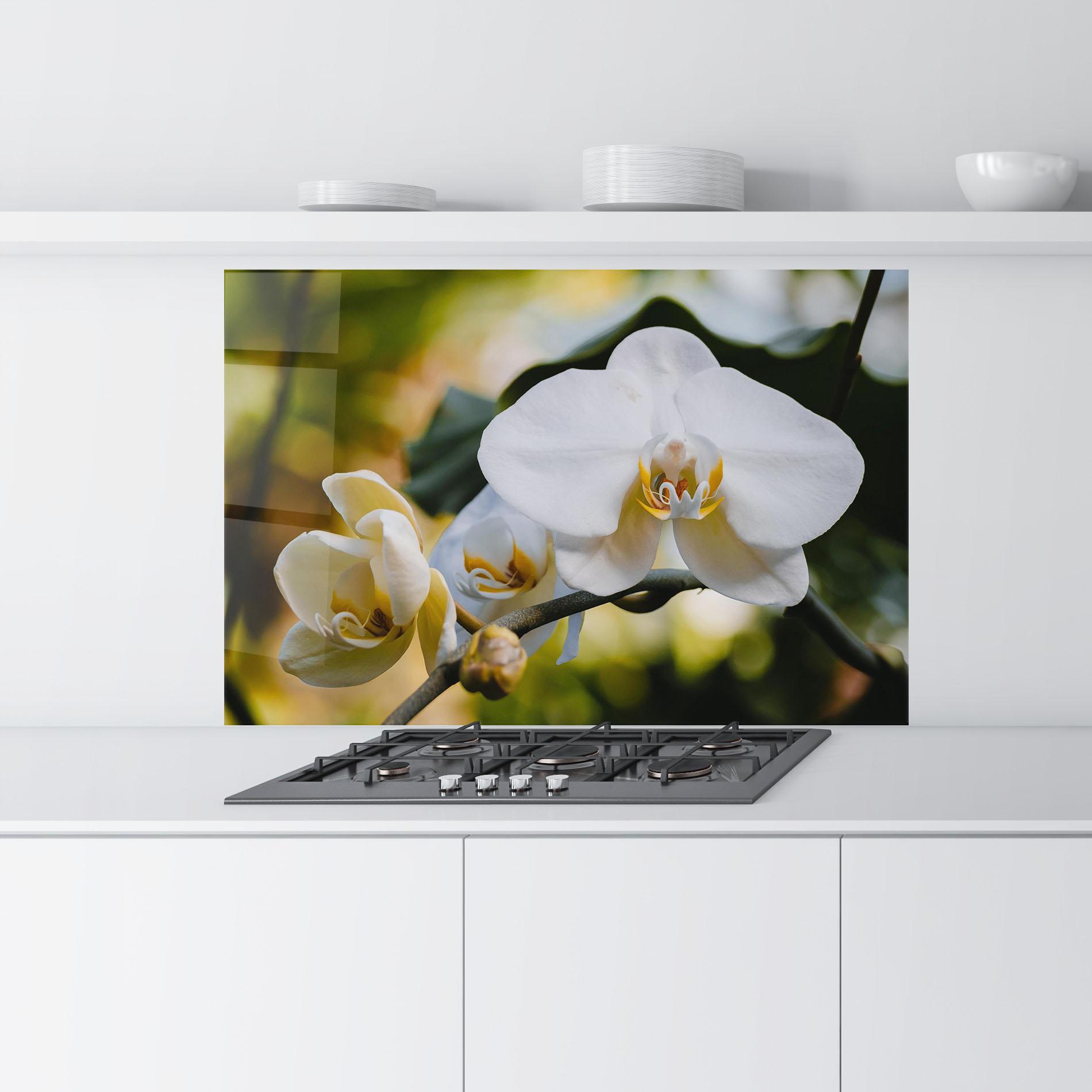 Küchenrückwand Glas Cream Orchid In Nature mockup 9