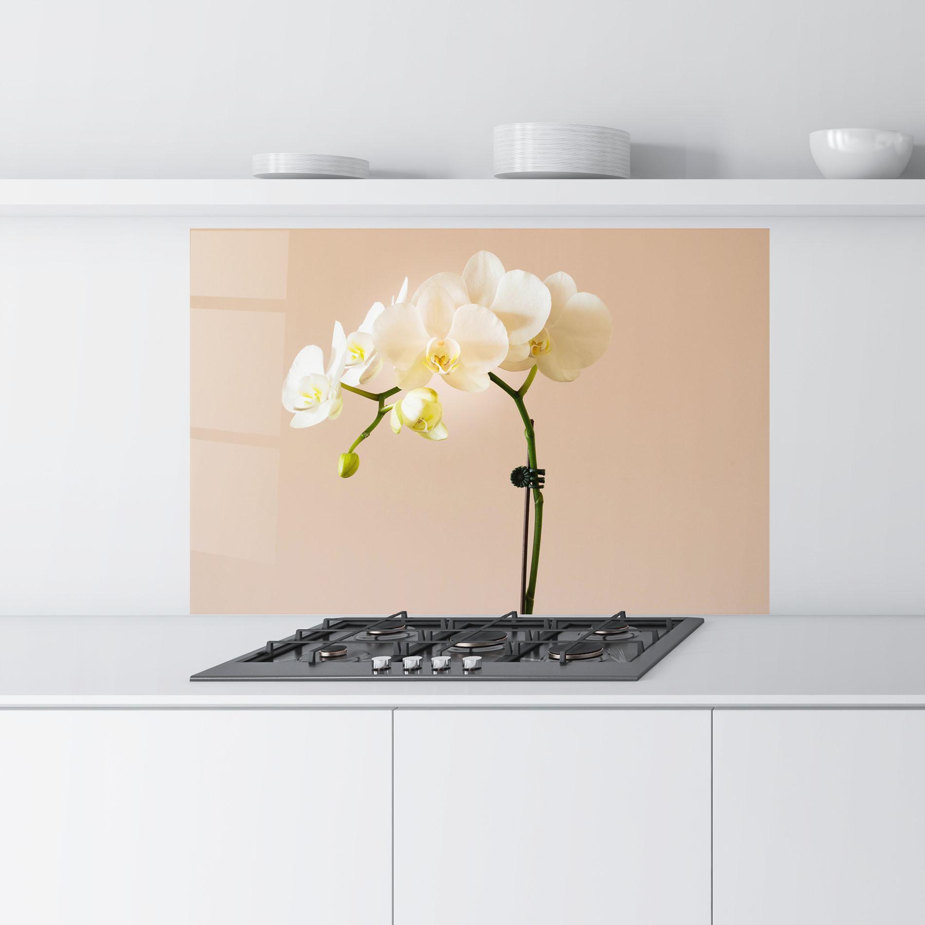 Küchenrückwand Glas Cream Orchid On Pink mockup 9