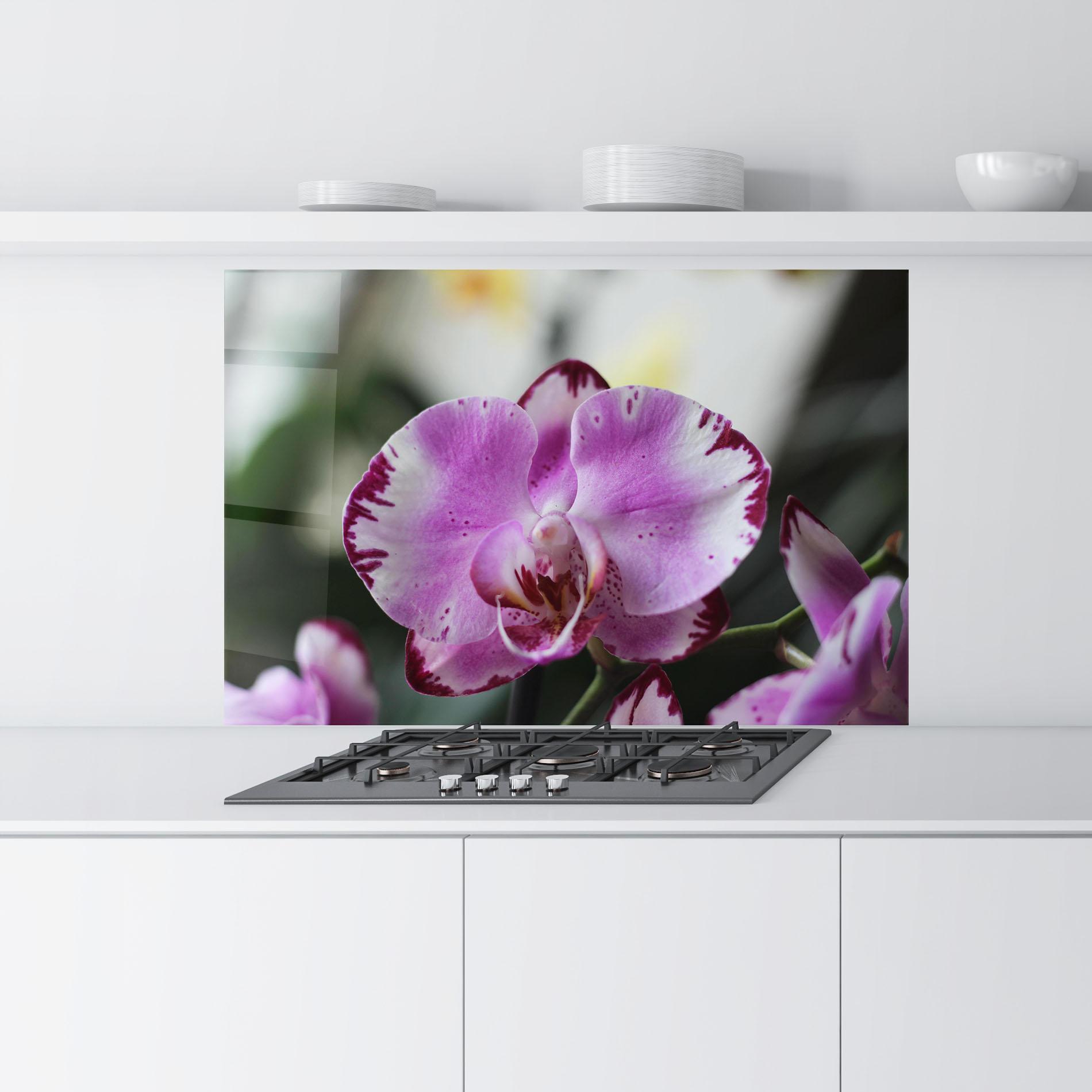 Küchenrückwand Glas Dark Purple Orchids In Nature mockup 9