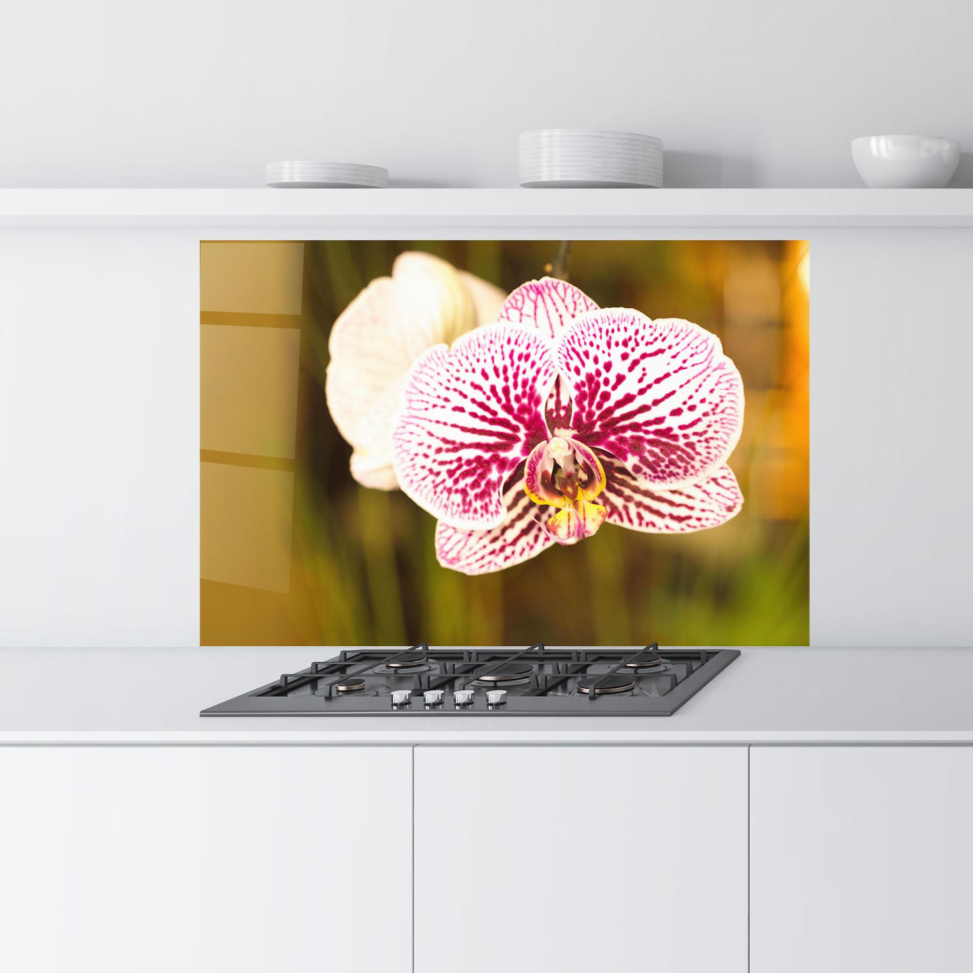 Küchenrückwand Glas Garden Orchids mockup 9
