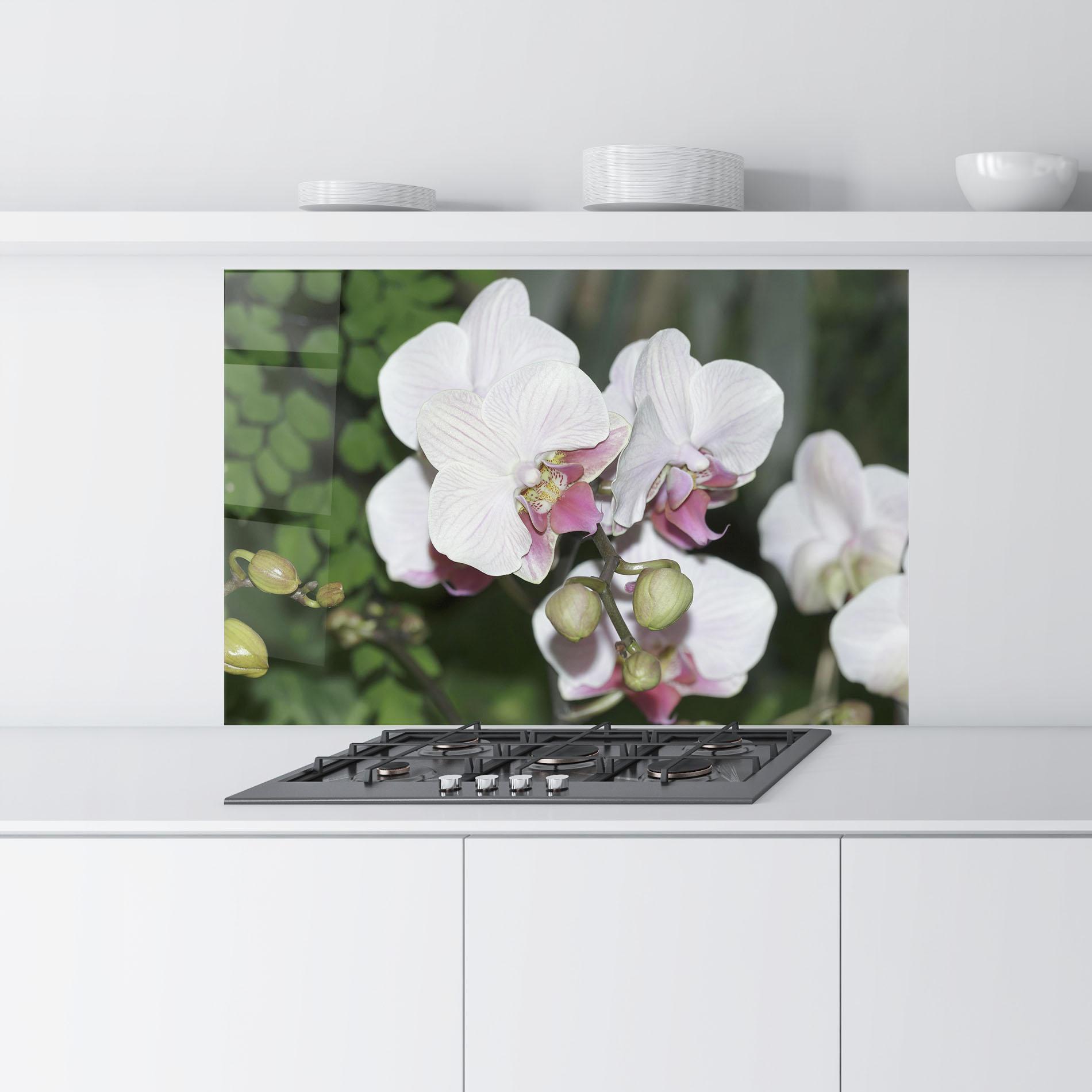 Küchenrückwand Glas Orchid Botanical Garden mockup 9