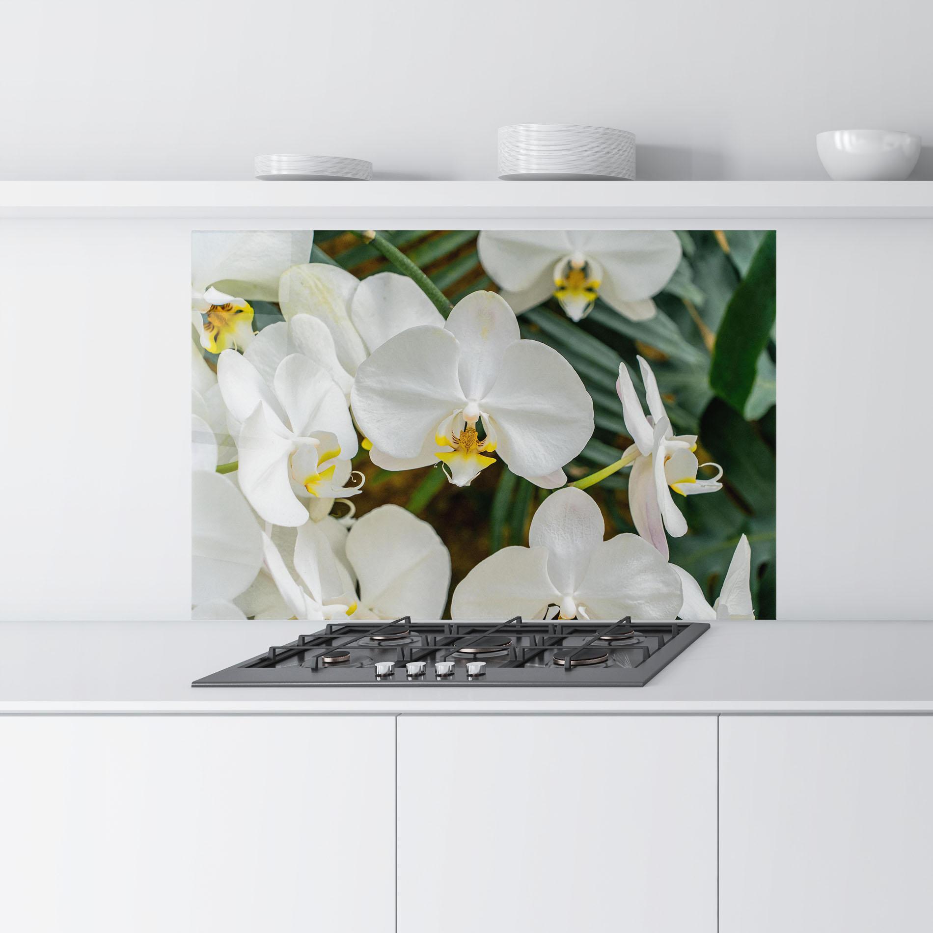 Küchenrückwand Glas Orchids In Nature mockup 9
