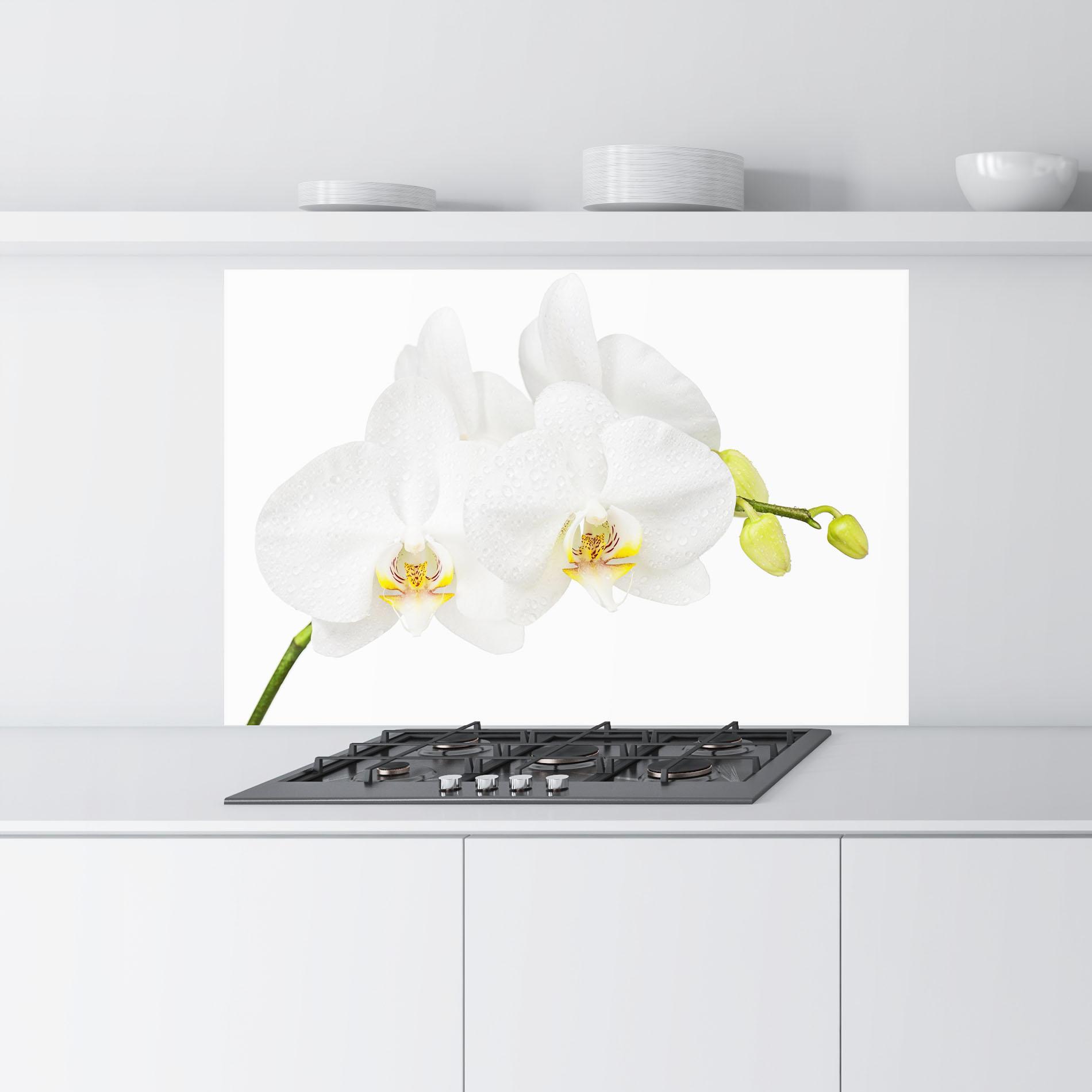Küchenrückwand Glas Orchids On White mockup 9