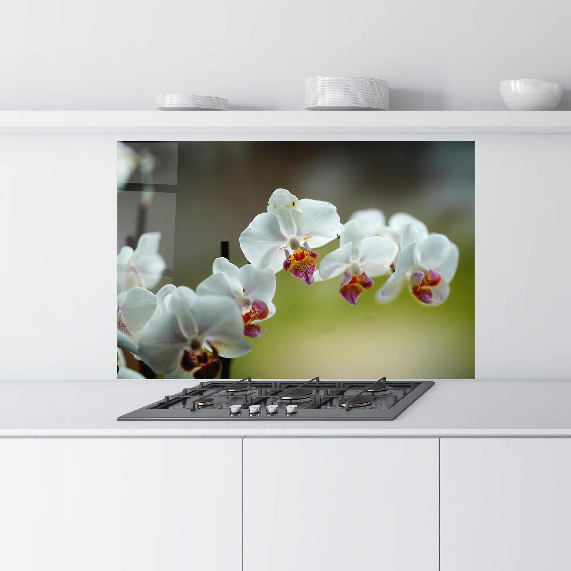 Küchenrückwand Glas Pretty Orchid In Nature mockup 9