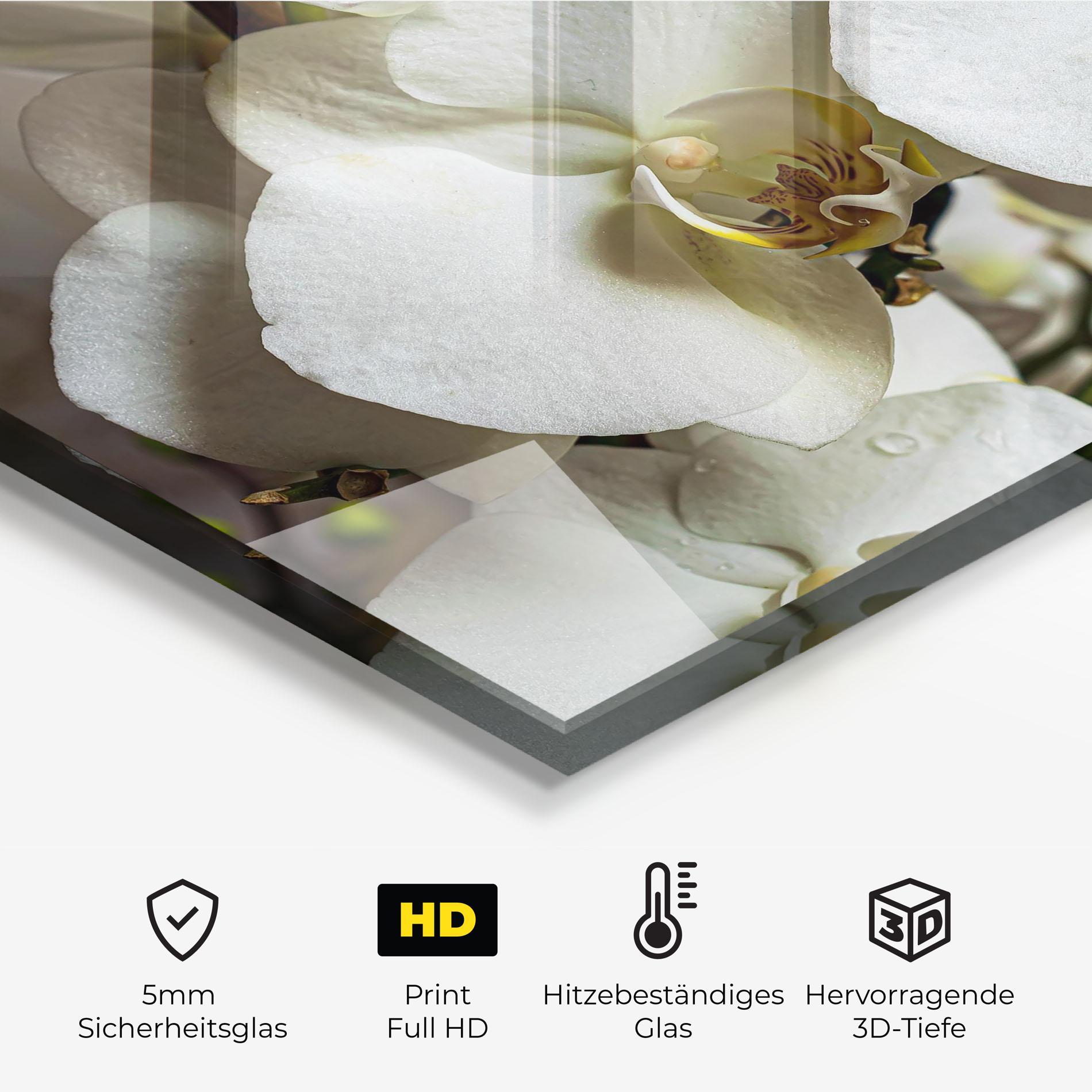 Küchenrückwand Glas Beautiful White Orchids mockup 2