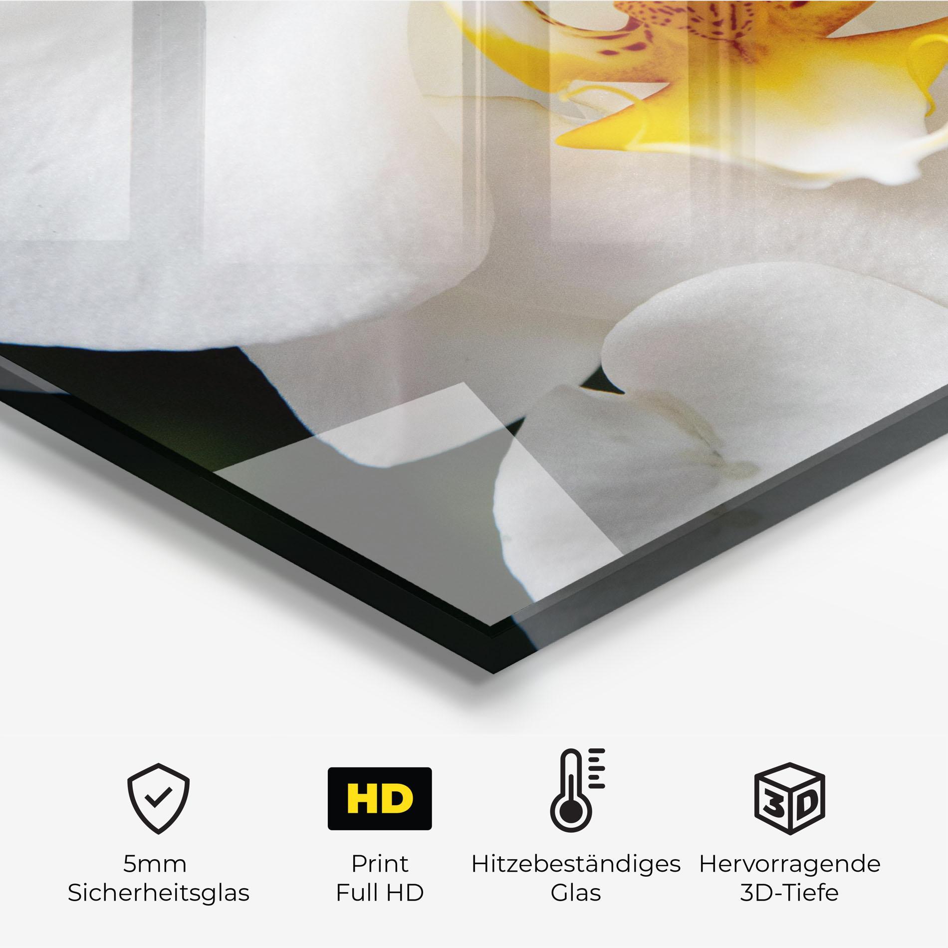 Küchenrückwand Glas Big Orchid Close Up mockup 2