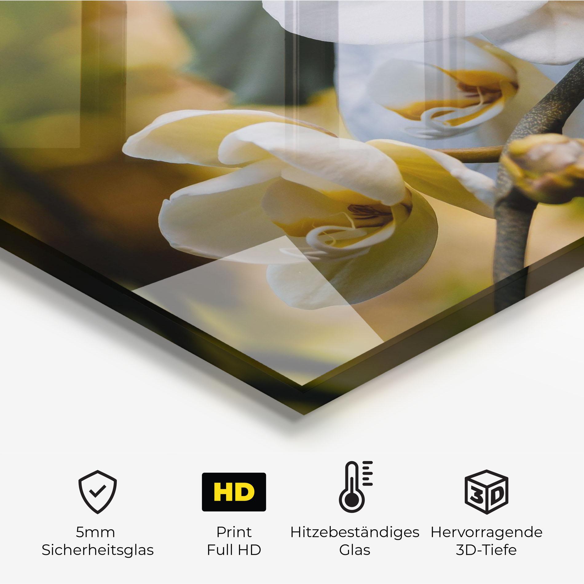 Küchenrückwand Glas Cream Orchid In Nature mockup 2