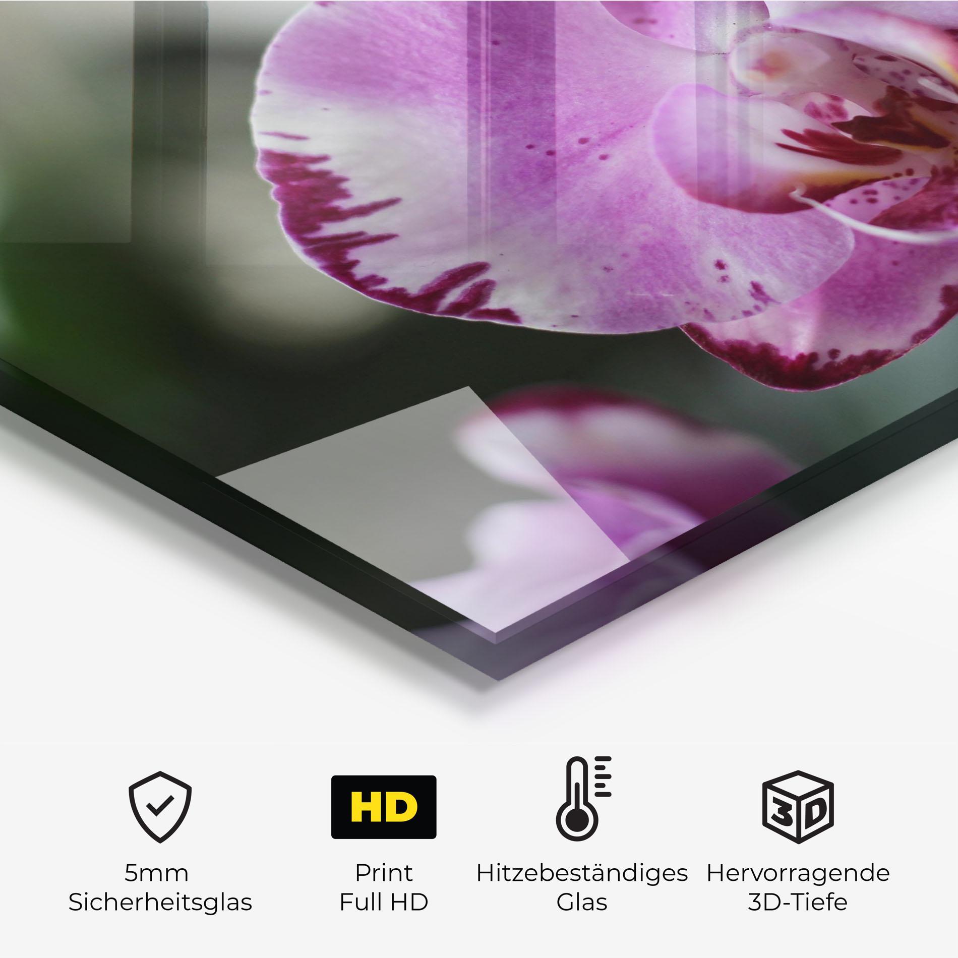 Küchenrückwand Glas Dark Purple Orchids In Nature mockup 2