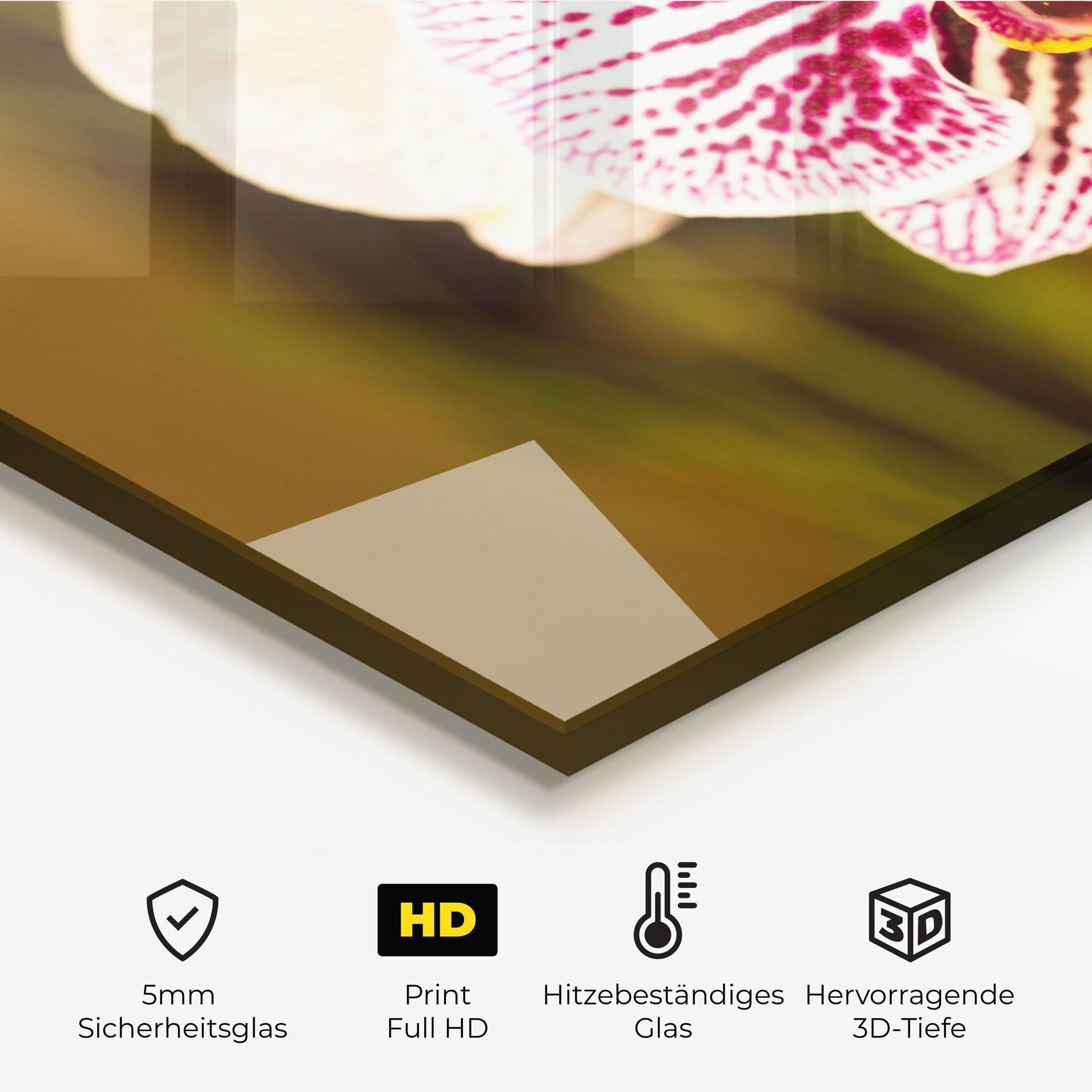 Küchenrückwand Glas Garden Orchids mockup 2