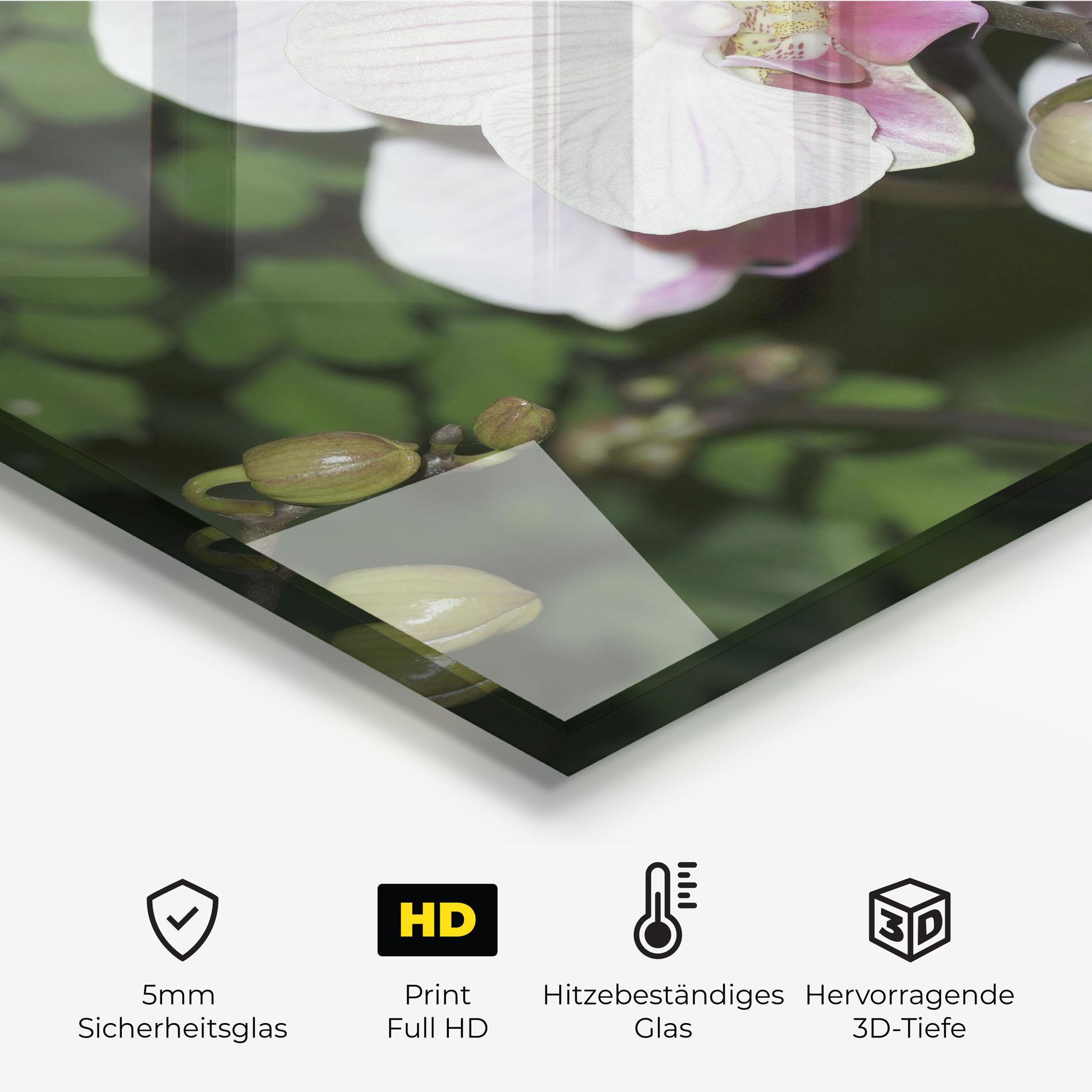 Küchenrückwand Glas Orchid Botanical Garden mockup 2