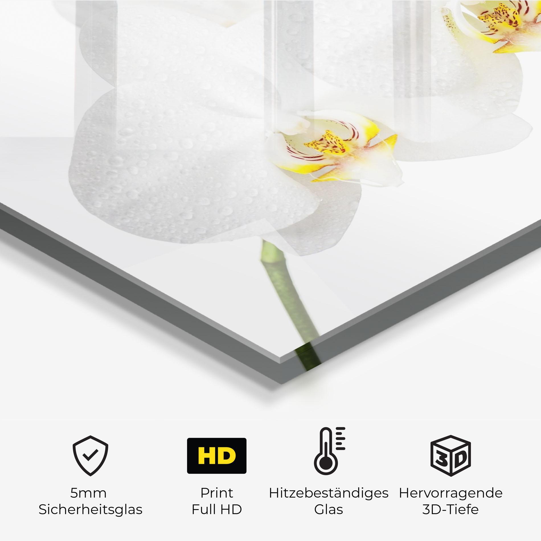 Küchenrückwand Glas Orchids On White mockup 2