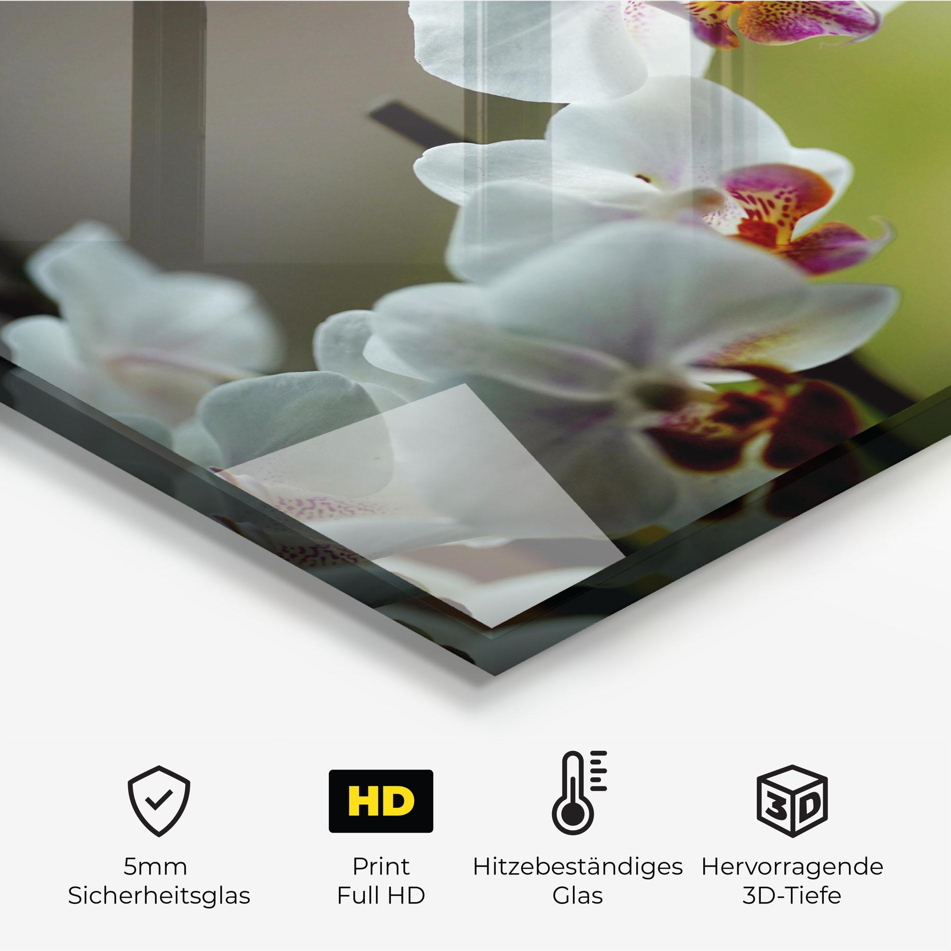 Küchenrückwand Glas Pretty Orchid In Nature mockup 2