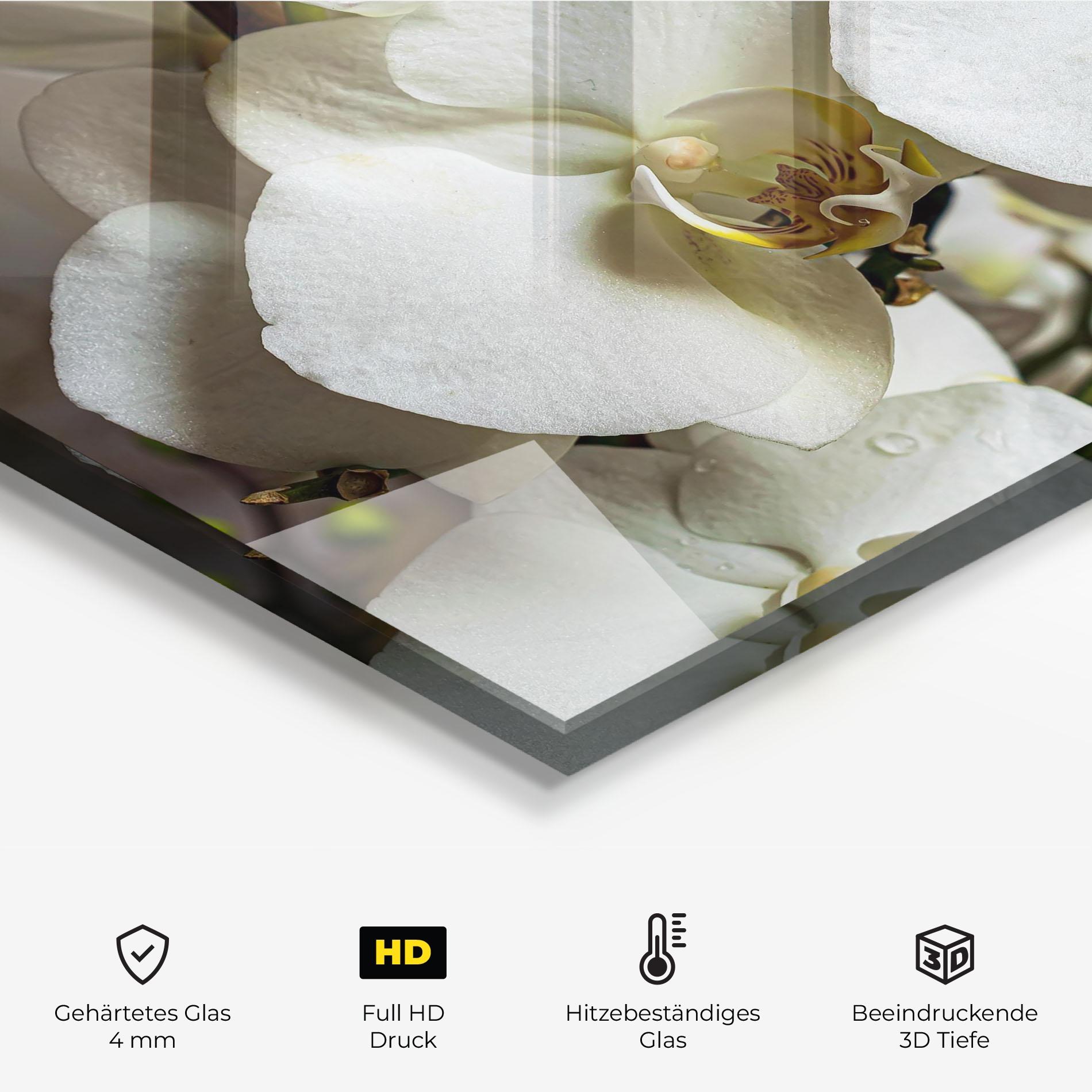 Küchenrückwand Glas Beautiful White Orchids mockup 2