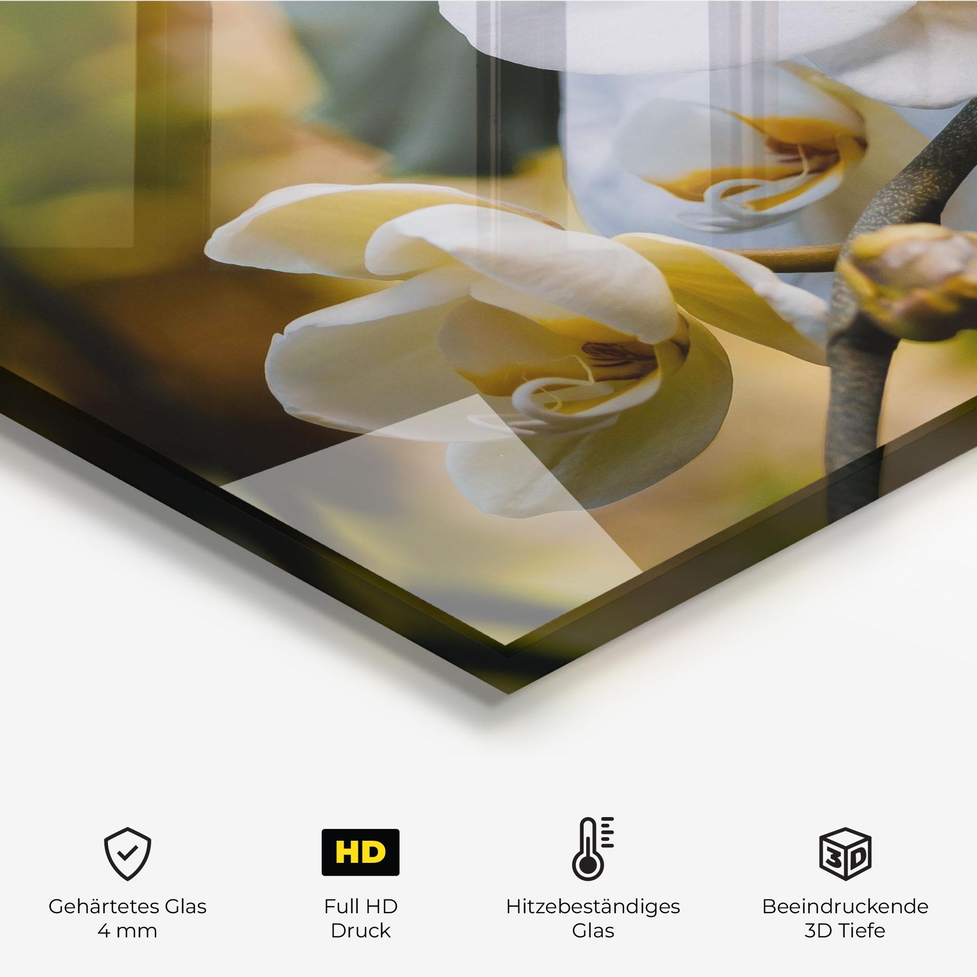 Küchenrückwand Glas Cream Orchid In Nature mockup 2