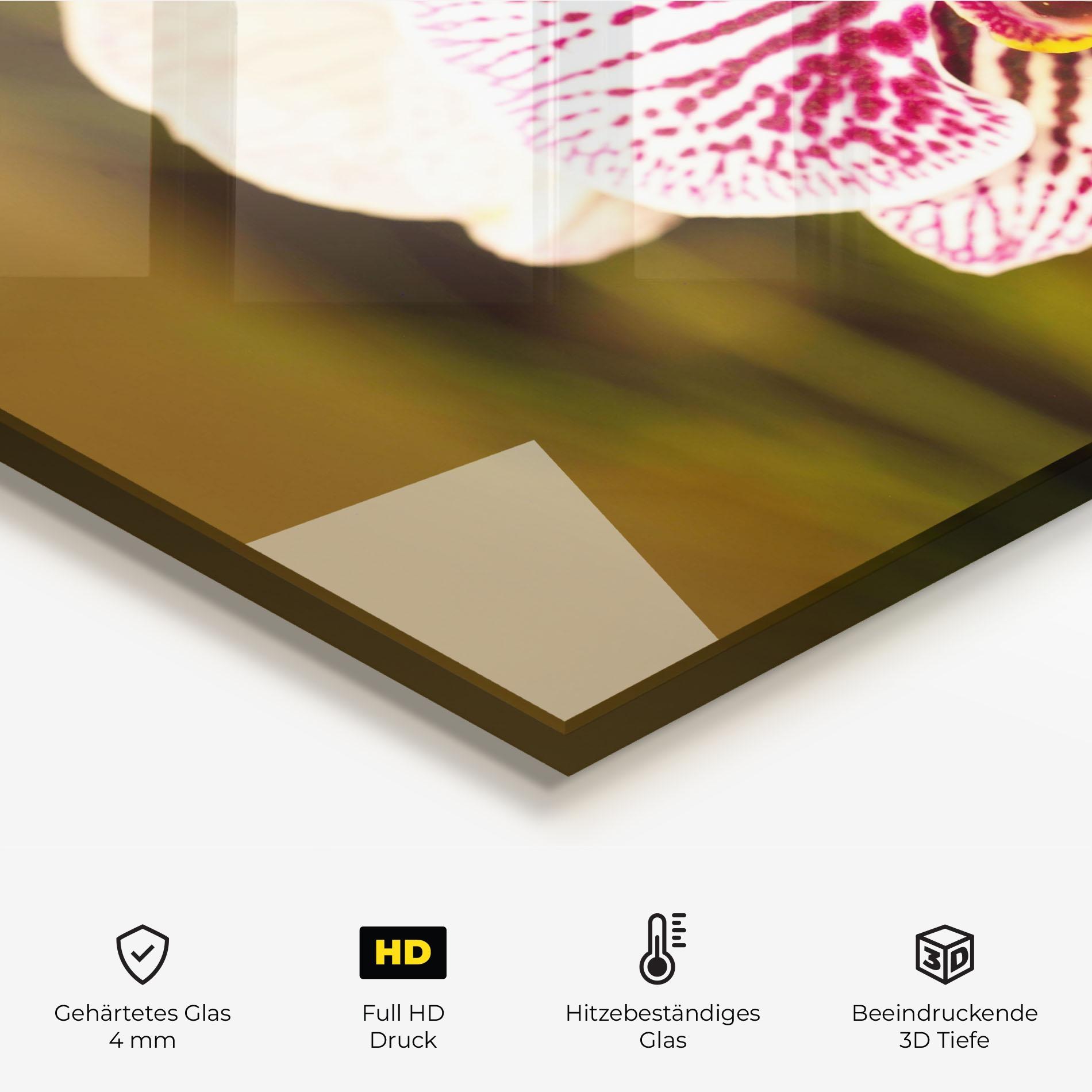 Küchenrückwand Glas Garden Orchids mockup 2