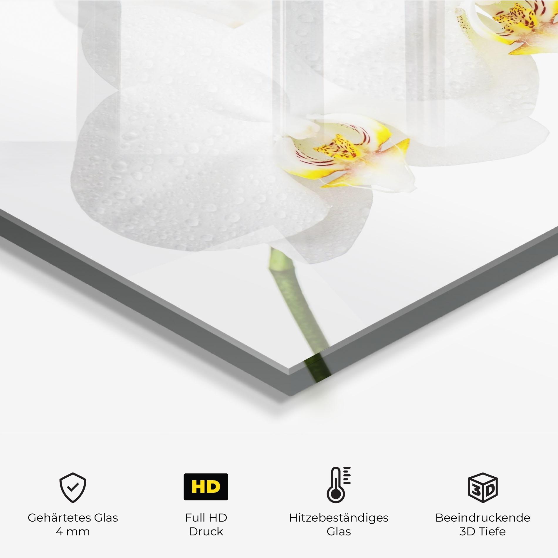 Küchenrückwand Glas Orchids On White mockup 2