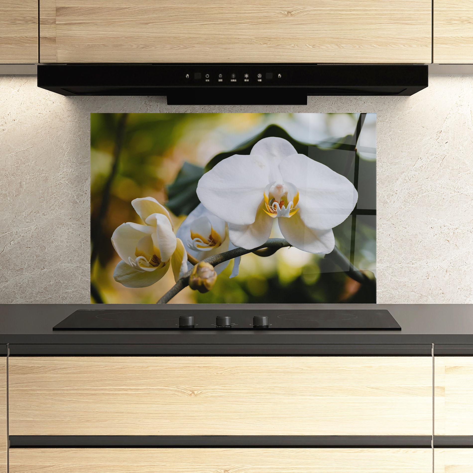 Küchenrückwand Glas Cream Orchid In Nature mockup 3