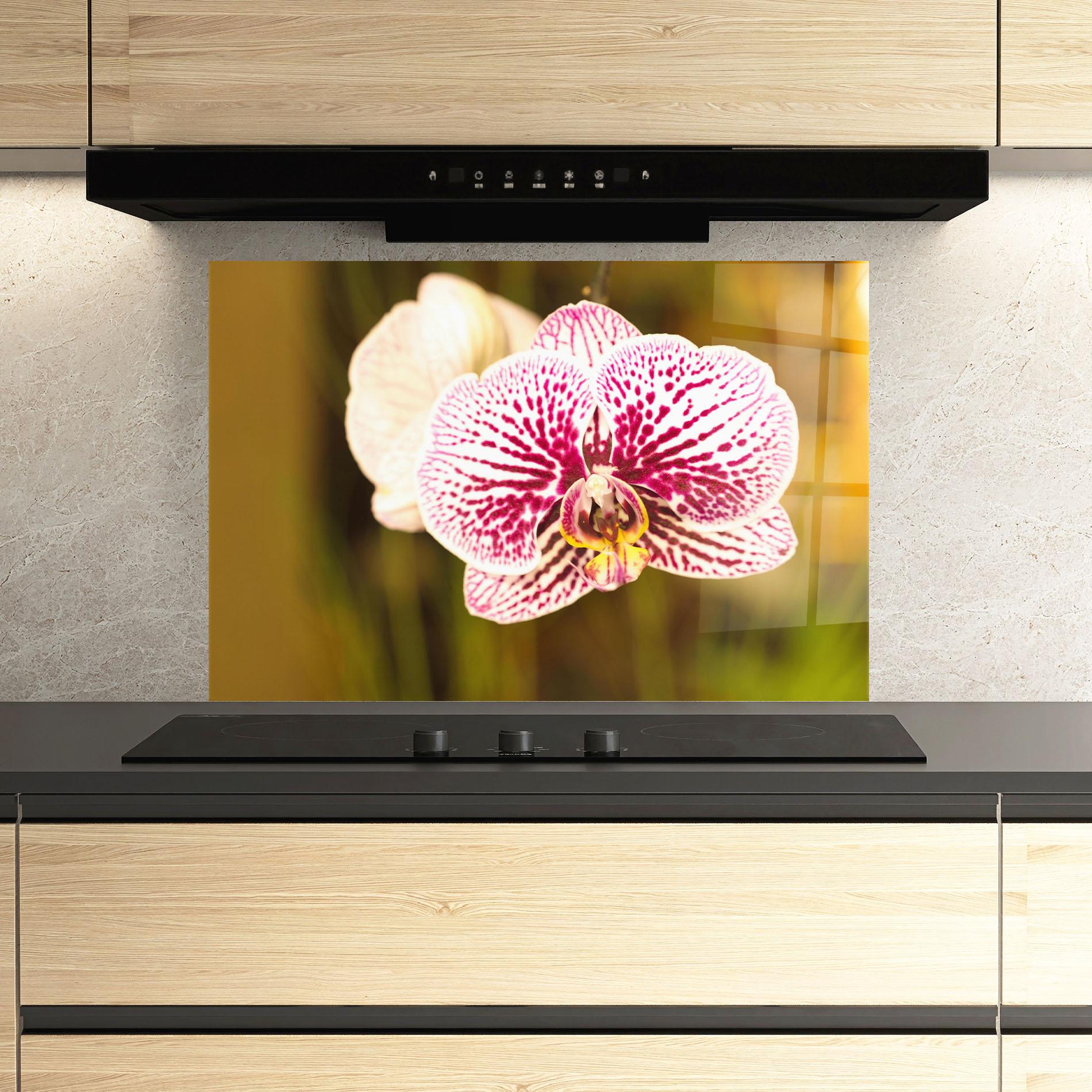 Küchenrückwand Glas Garden Orchids mockup 3