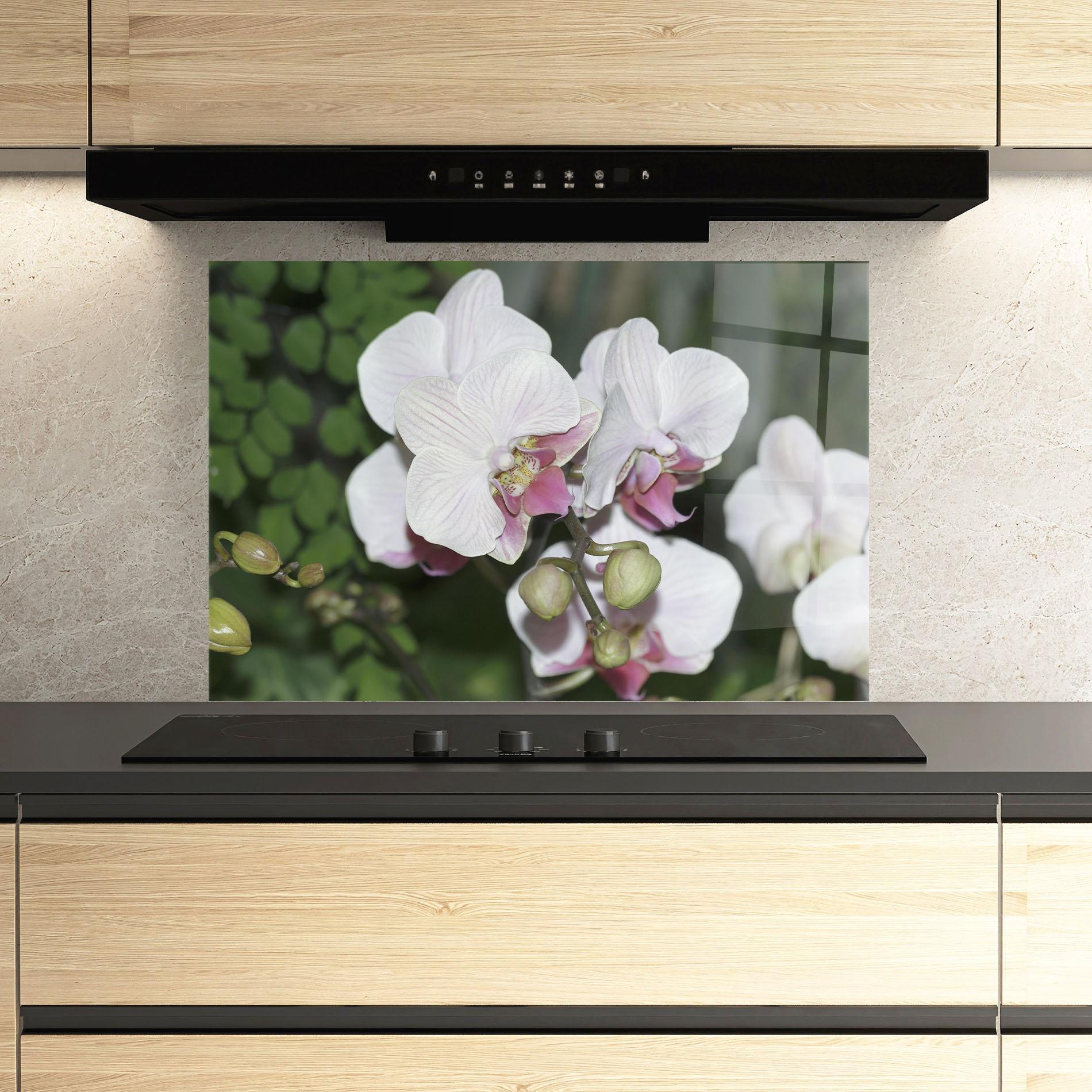 Küchenrückwand Glas Orchid Botanical Garden mockup 3
