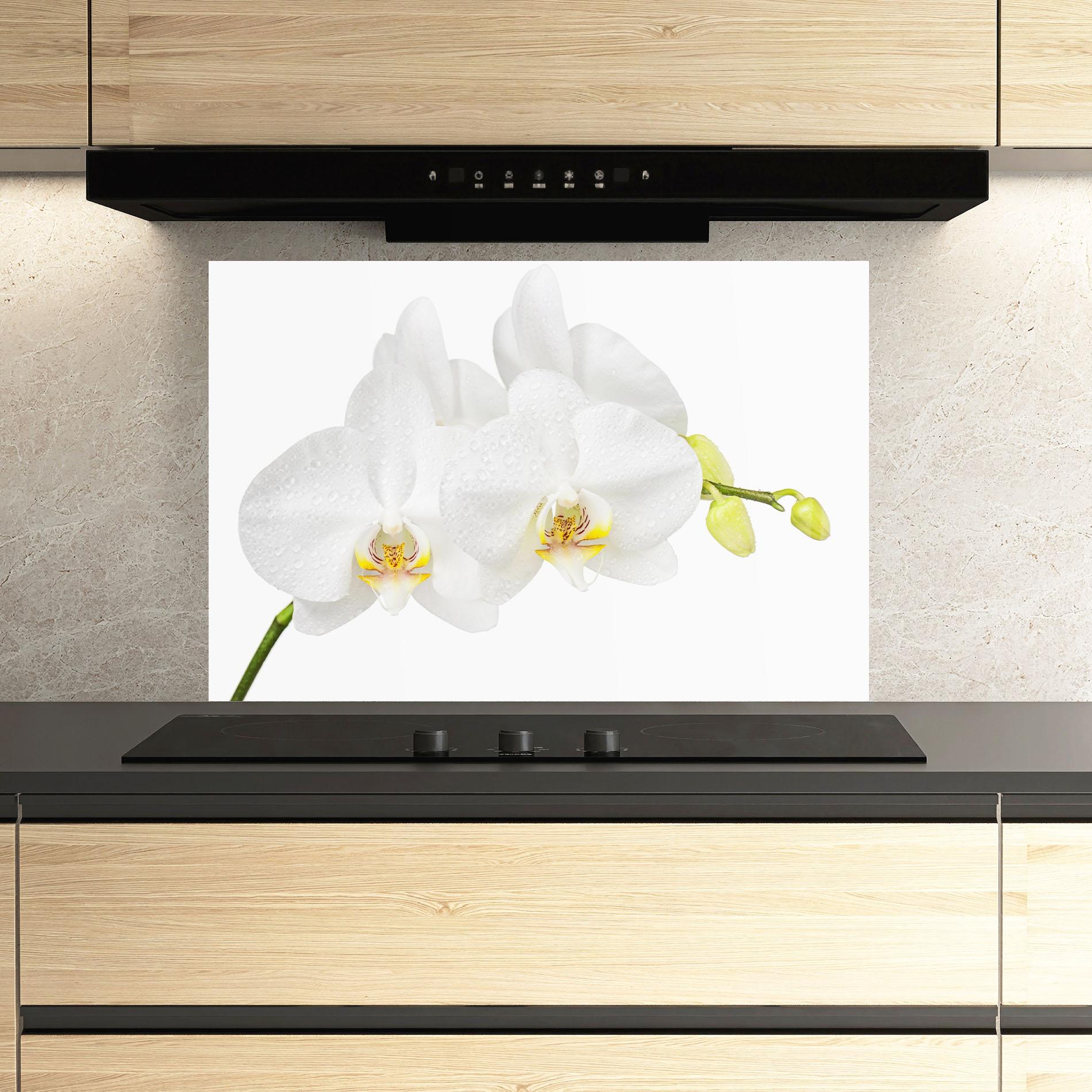 Küchenrückwand Glas Orchids On White mockup 3