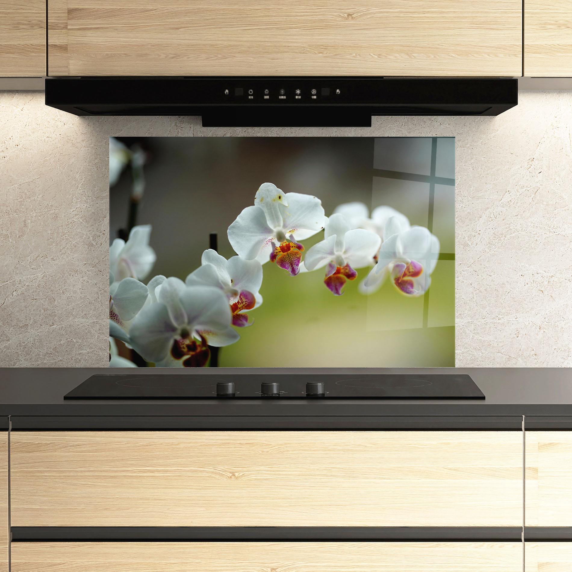 Küchenrückwand Glas Pretty Orchid In Nature mockup 3