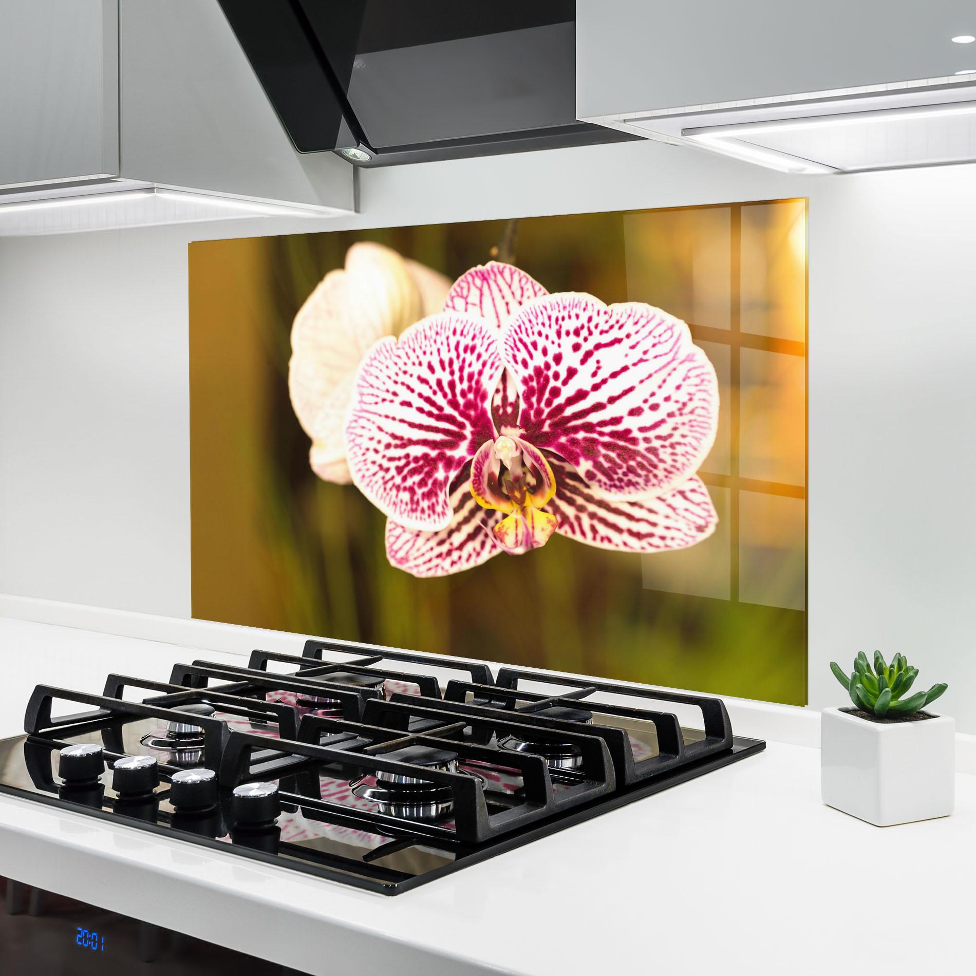 Küchenrückwand Glas Garden Orchids mockup 6