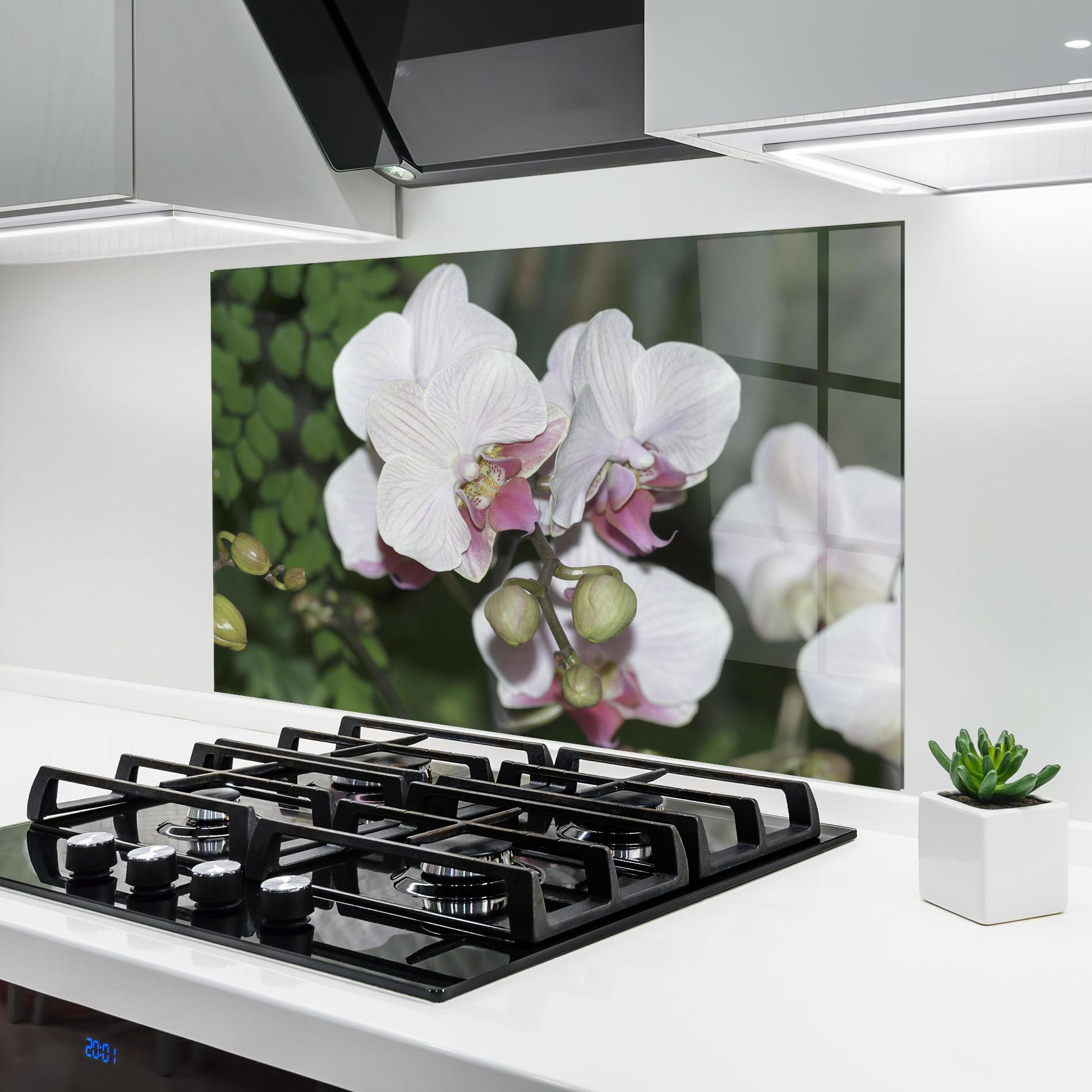 Küchenrückwand Glas Orchid Botanical Garden mockup 6