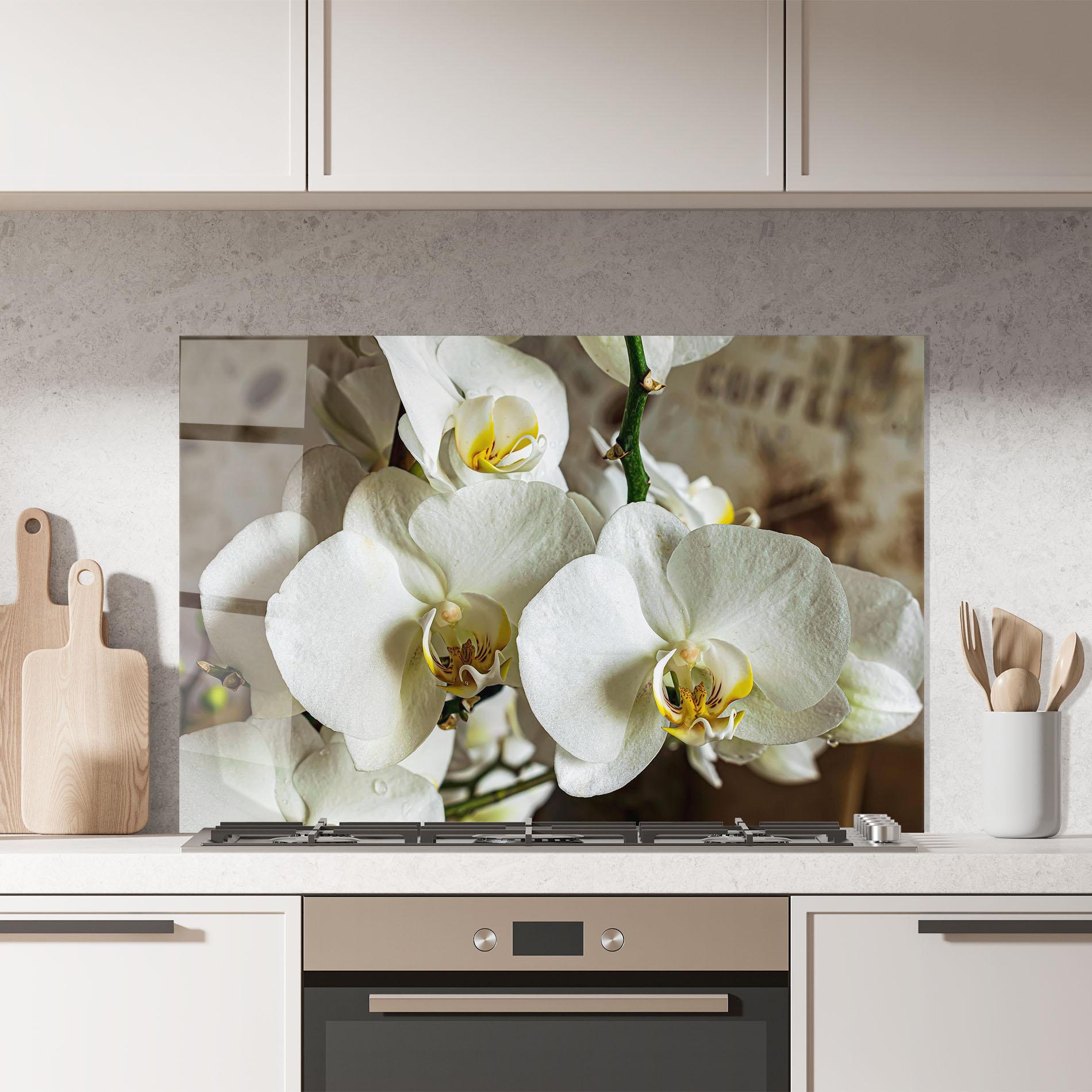 Küchenrückwand Glas Beautiful White Orchids mockup 7