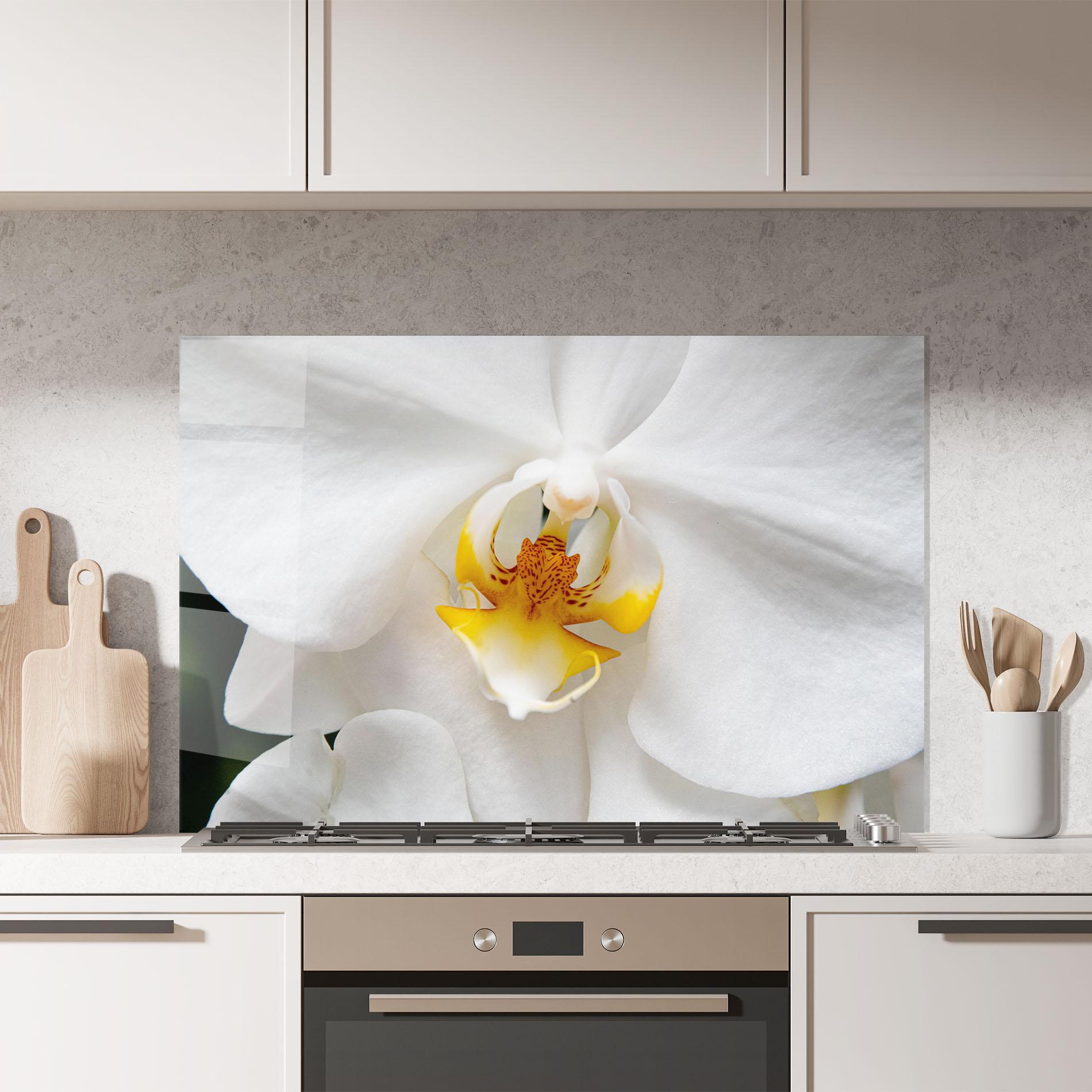 Küchenrückwand Glas Big Orchid Close Up mockup 7