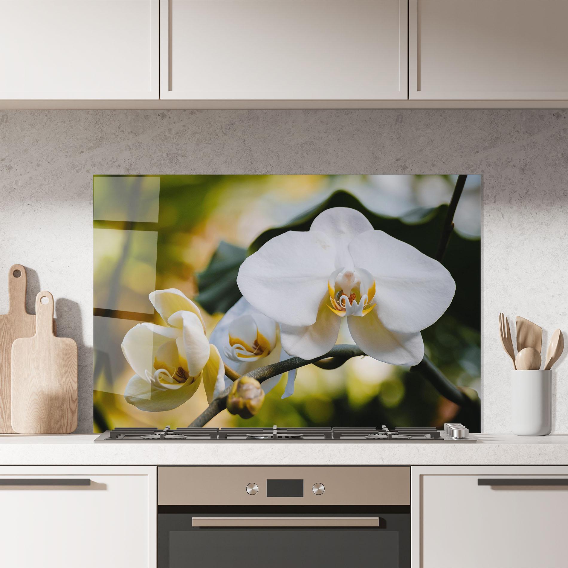 Küchenrückwand Glas Cream Orchid In Nature mockup 7