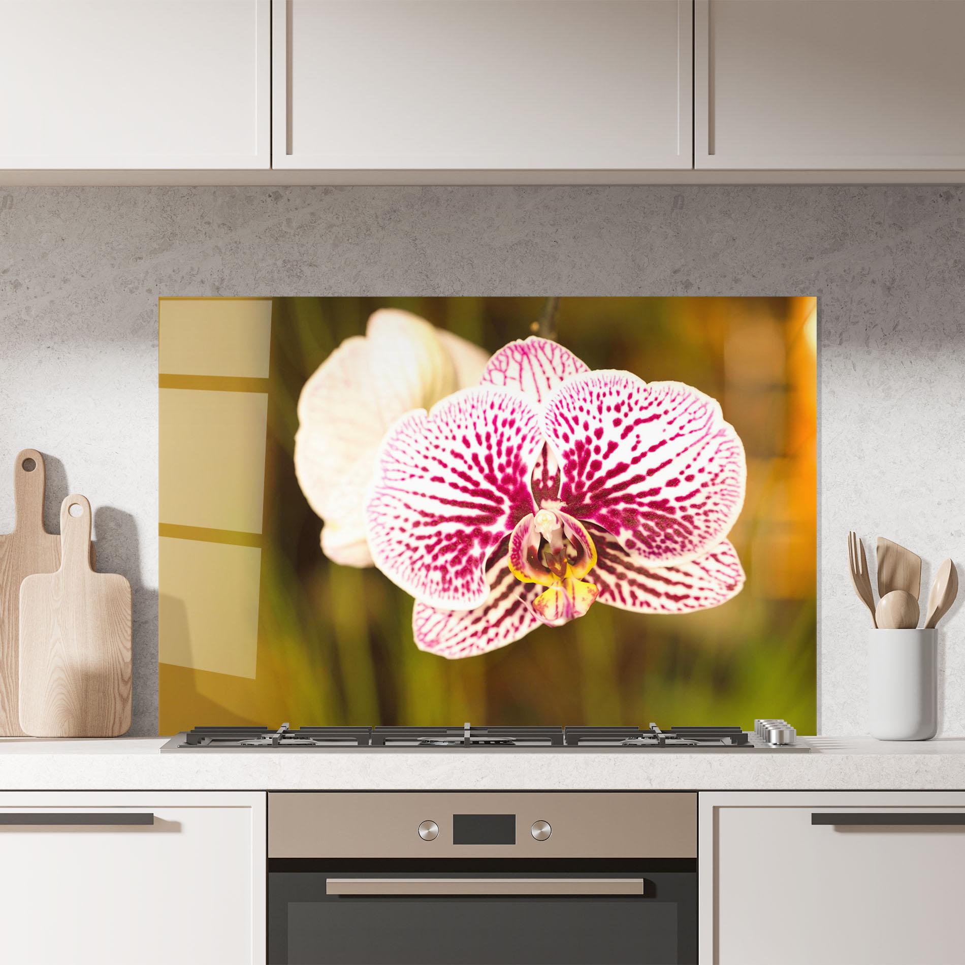 Küchenrückwand Glas Garden Orchids mockup 7