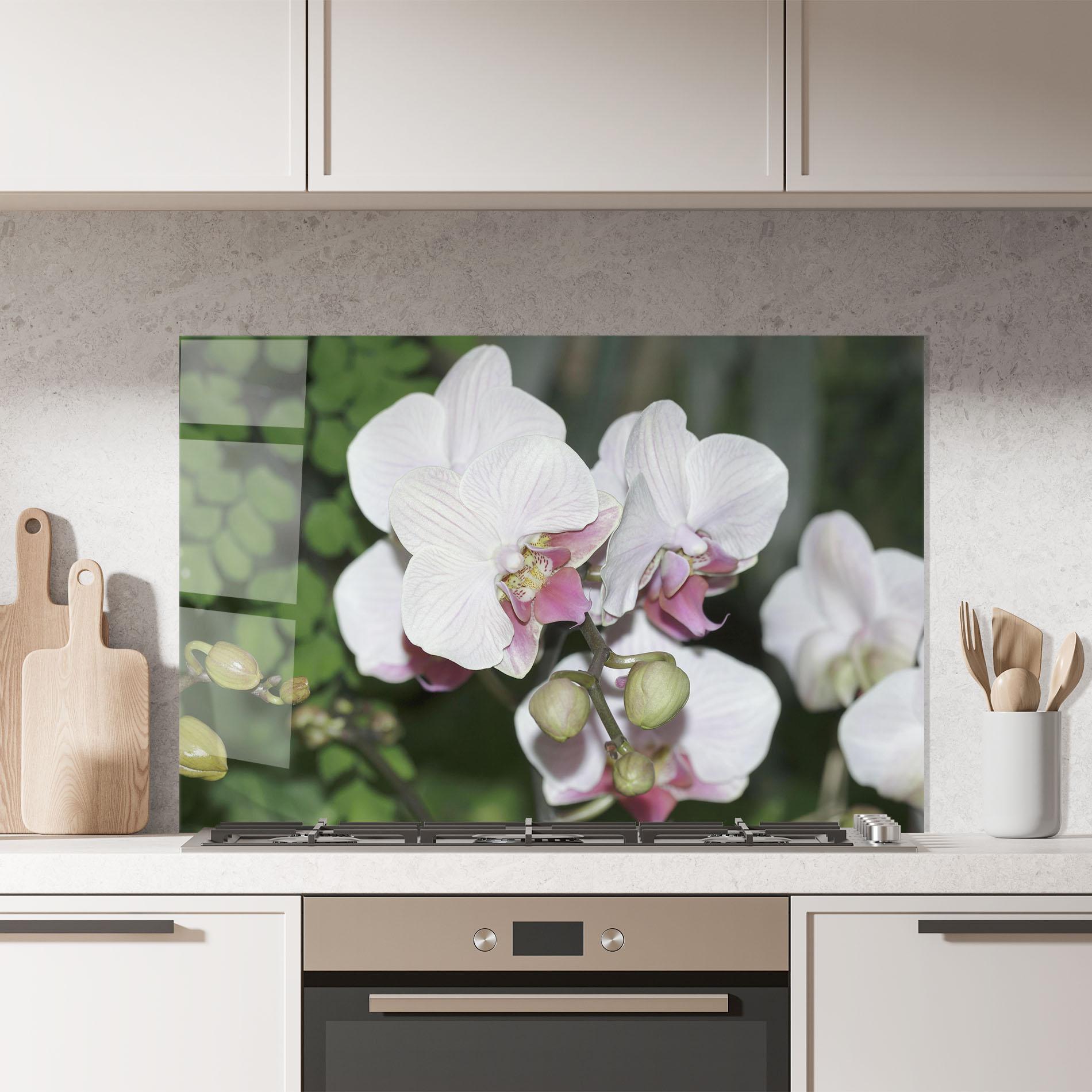 Küchenrückwand Glas Orchid Botanical Garden mockup 7
